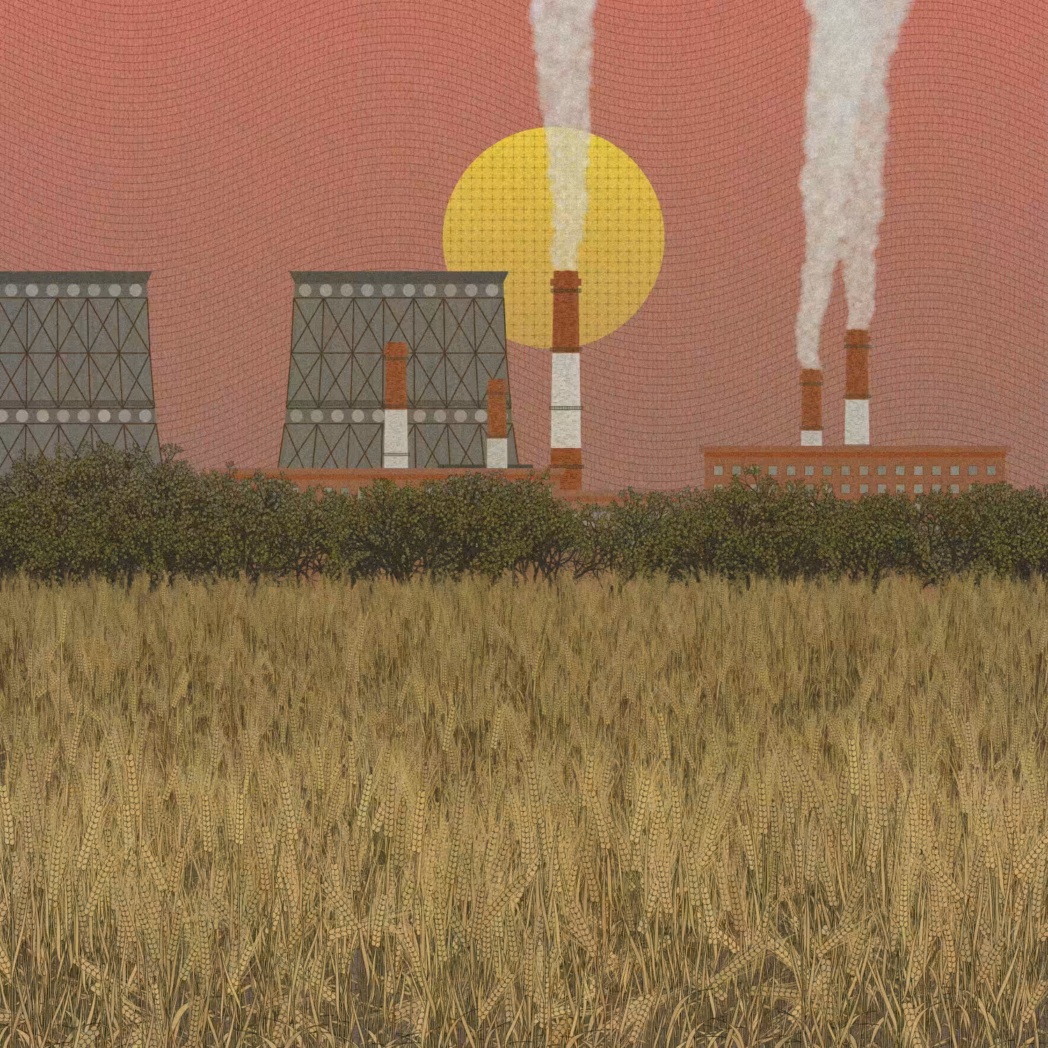 Fields of the Abandoned Homeland #54