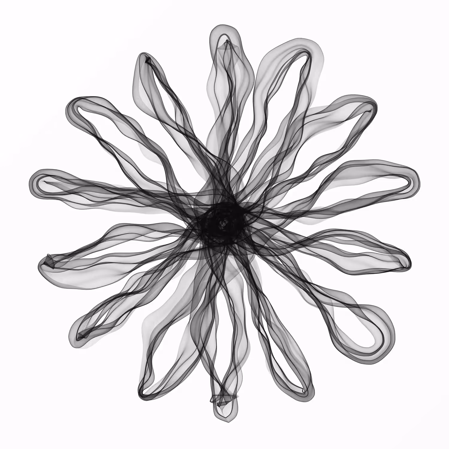 Black on White