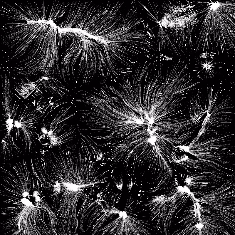 Cosmic Web