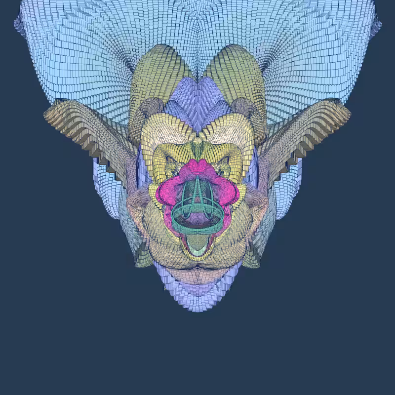 Zaratan #12