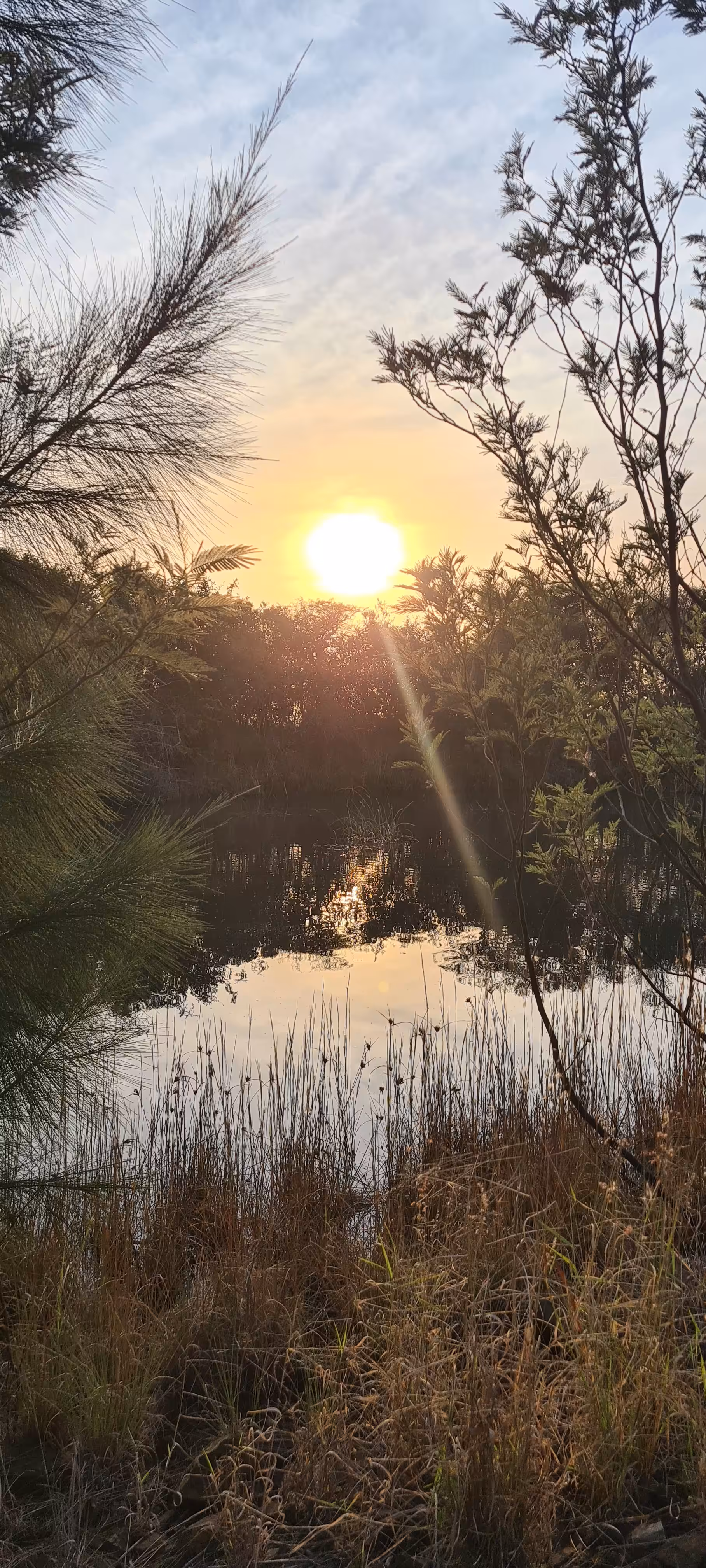 Sunrise 1