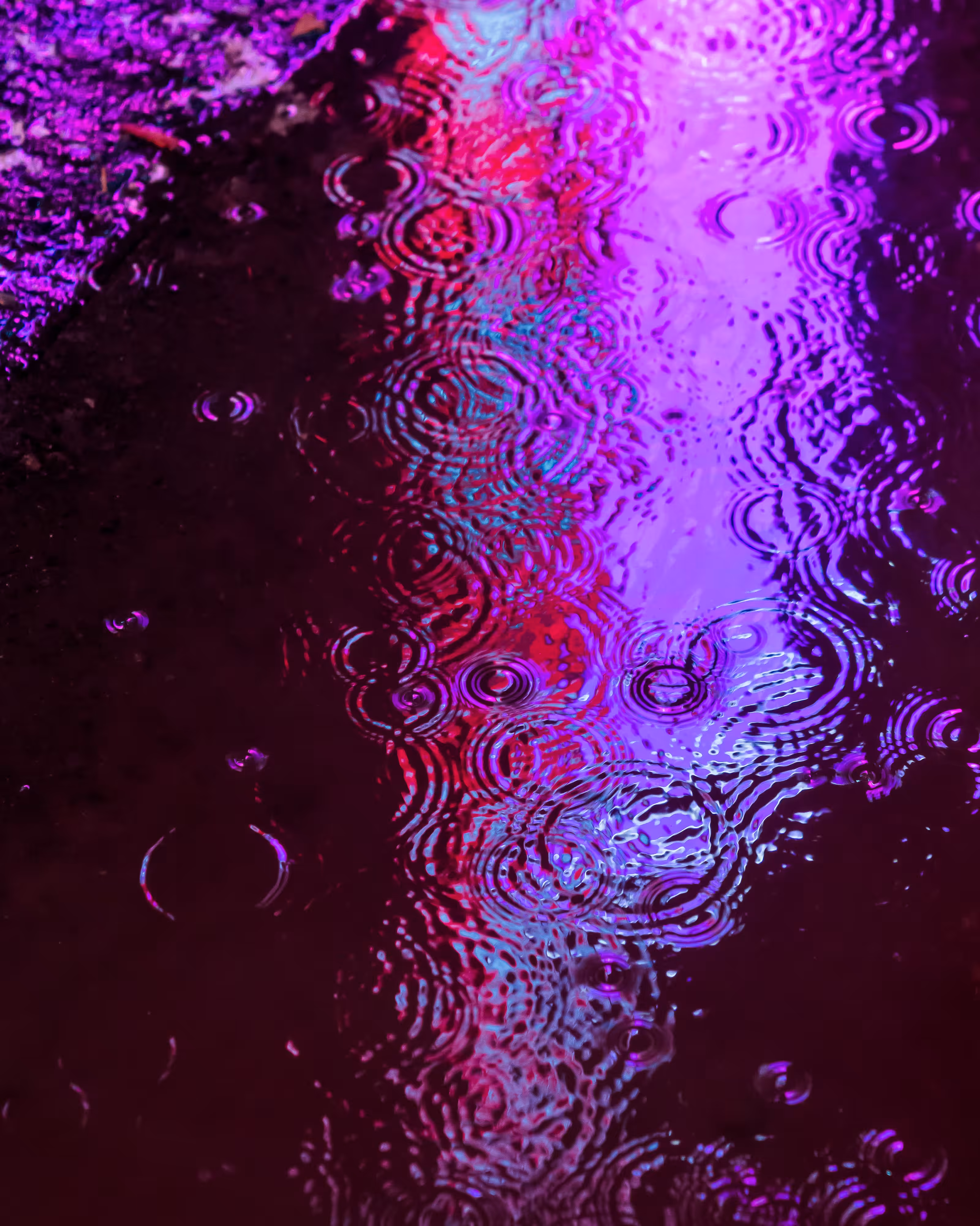 DRIP #421