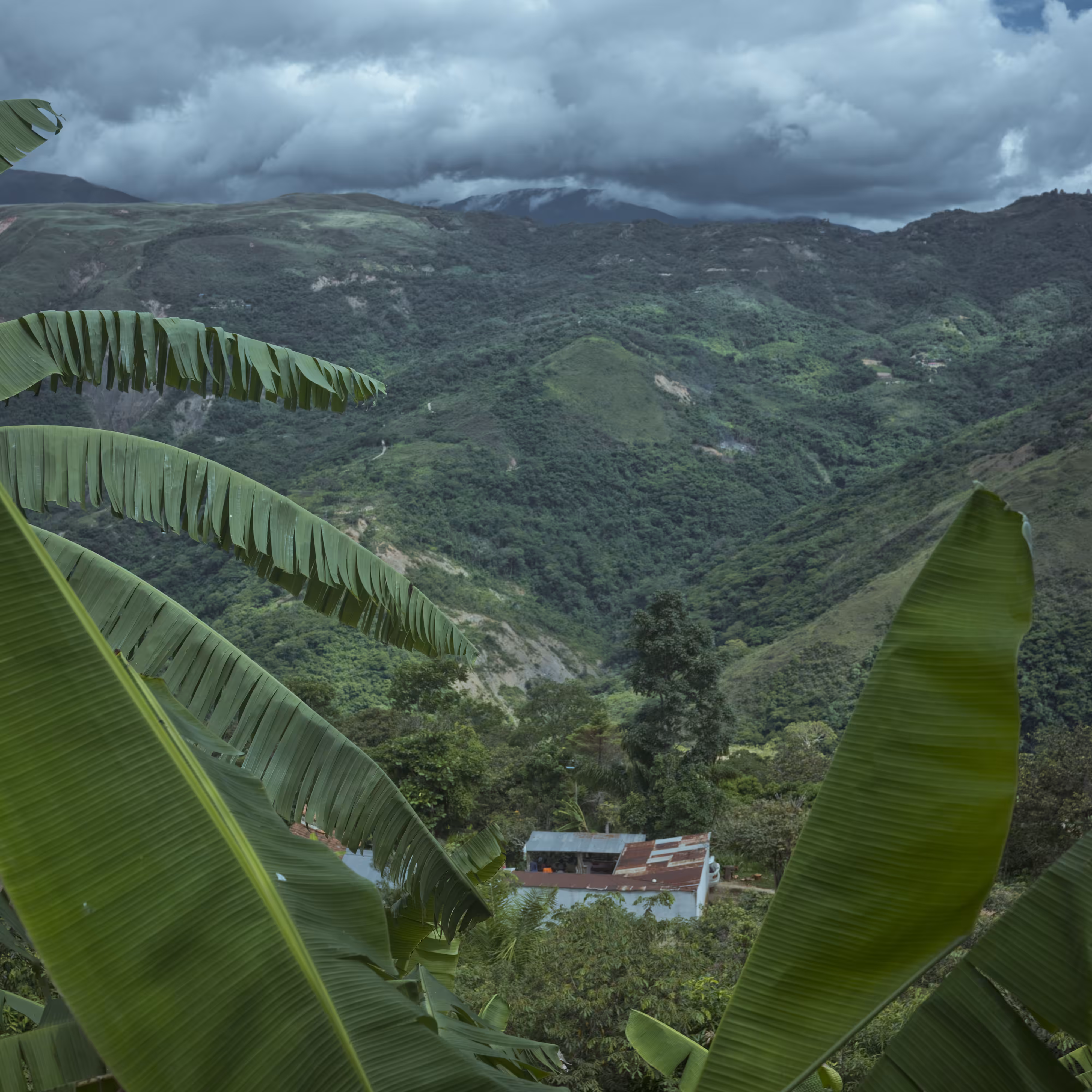 The Royal Pinedo #9 by Cristina de Middel