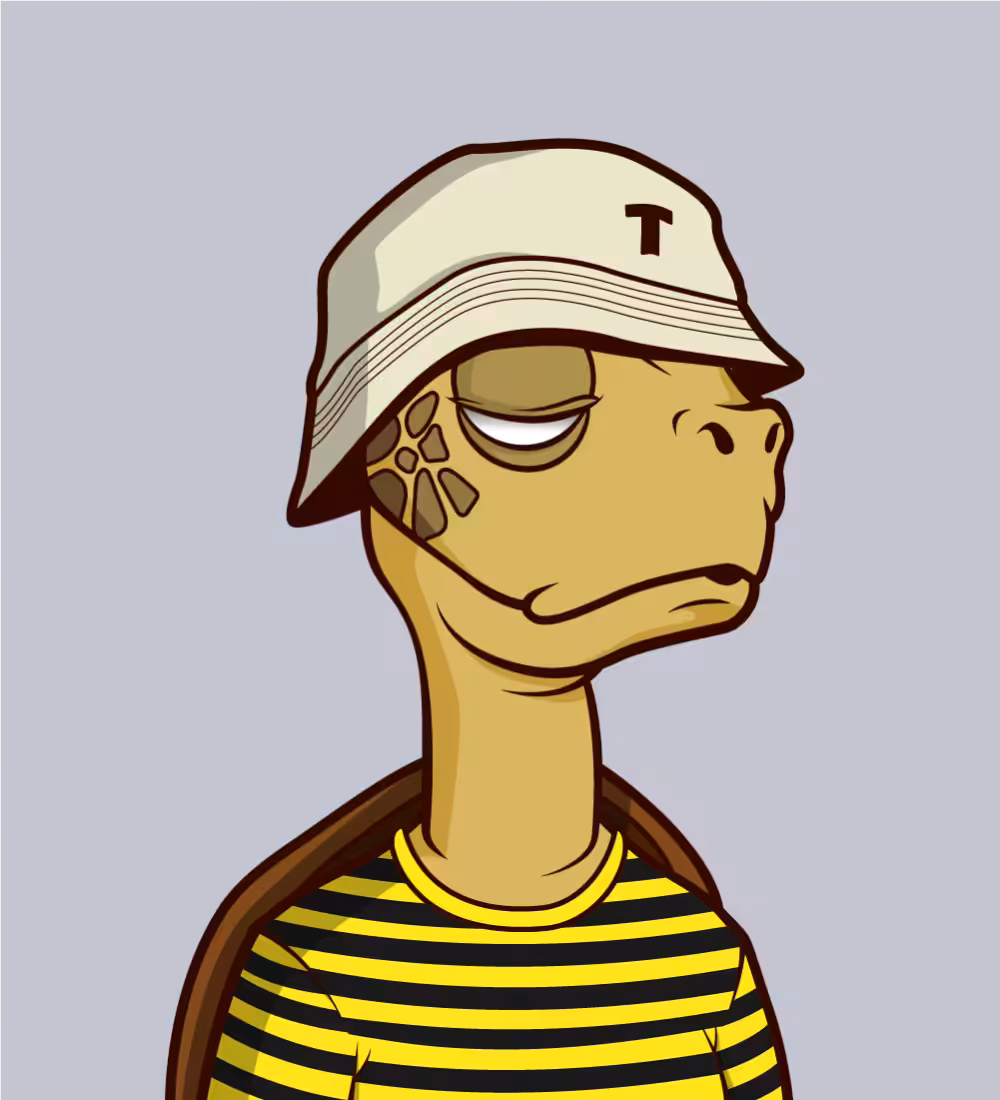 Tiny Turtle 164