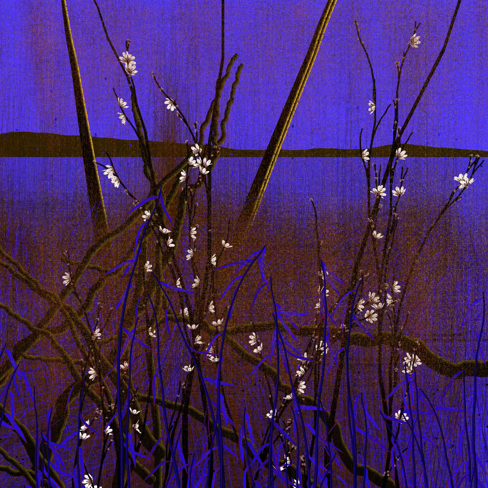 Dry twigs #34