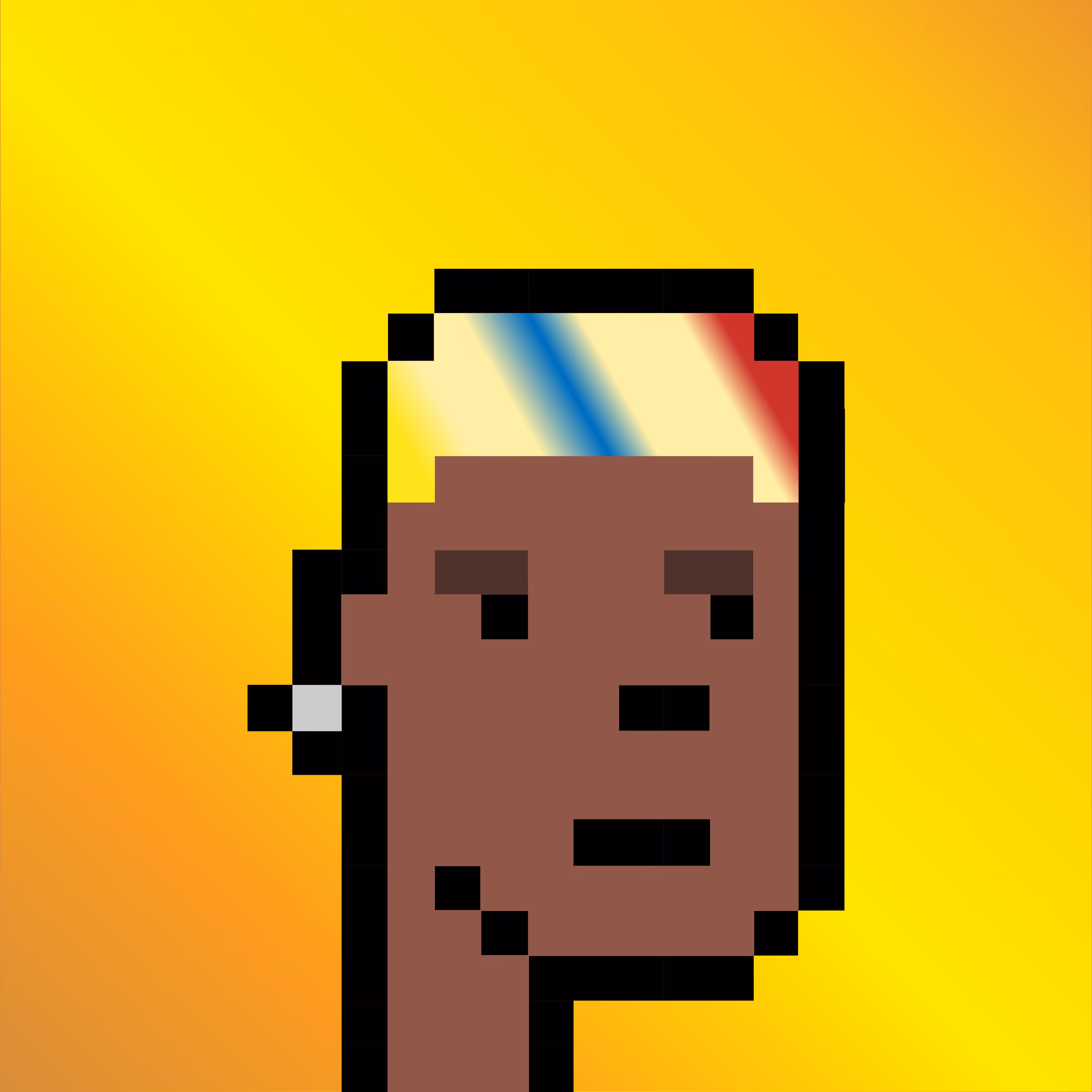 Rodman Punk 16
