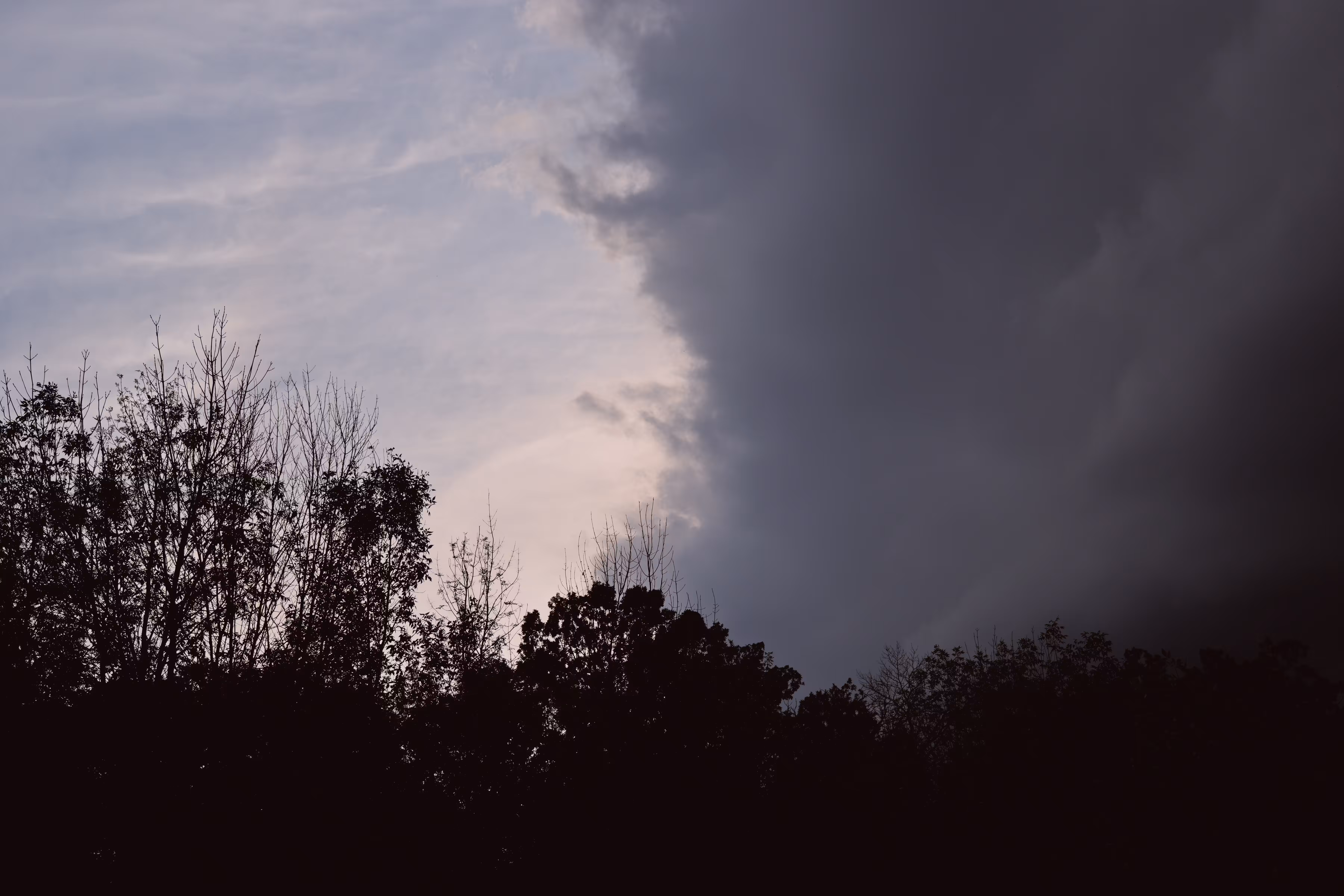 _divided