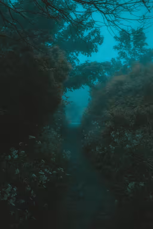 The Lost World
