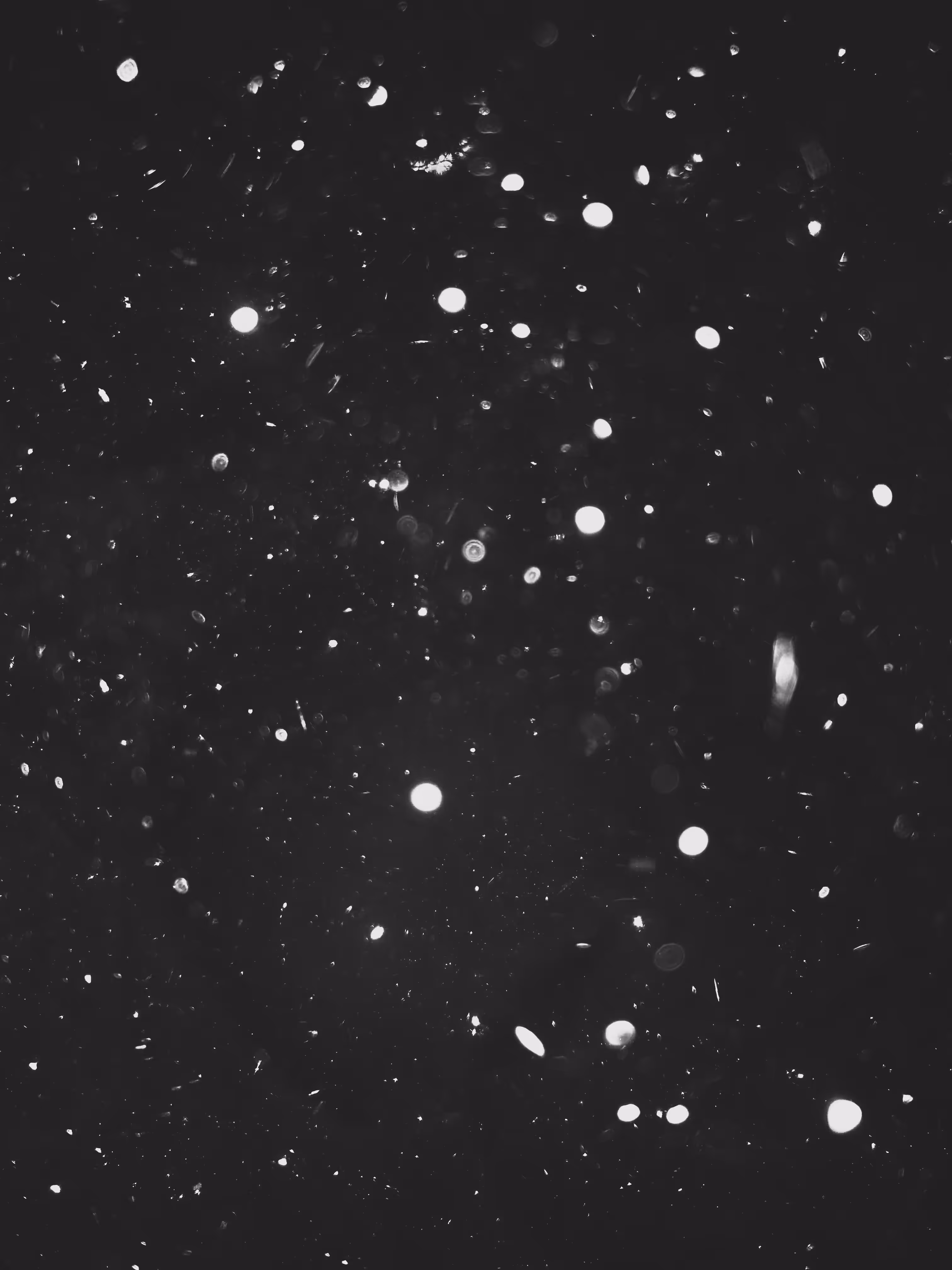Constelation 001