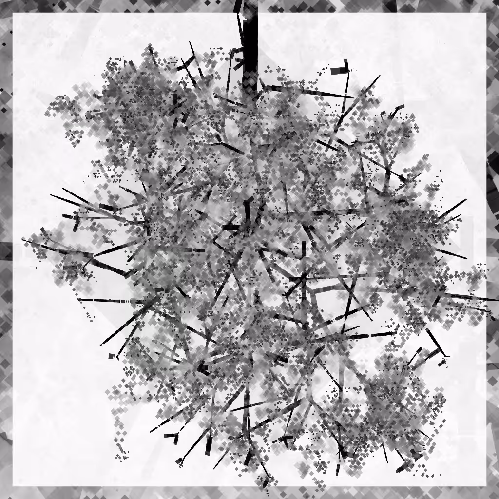 Blossom #34