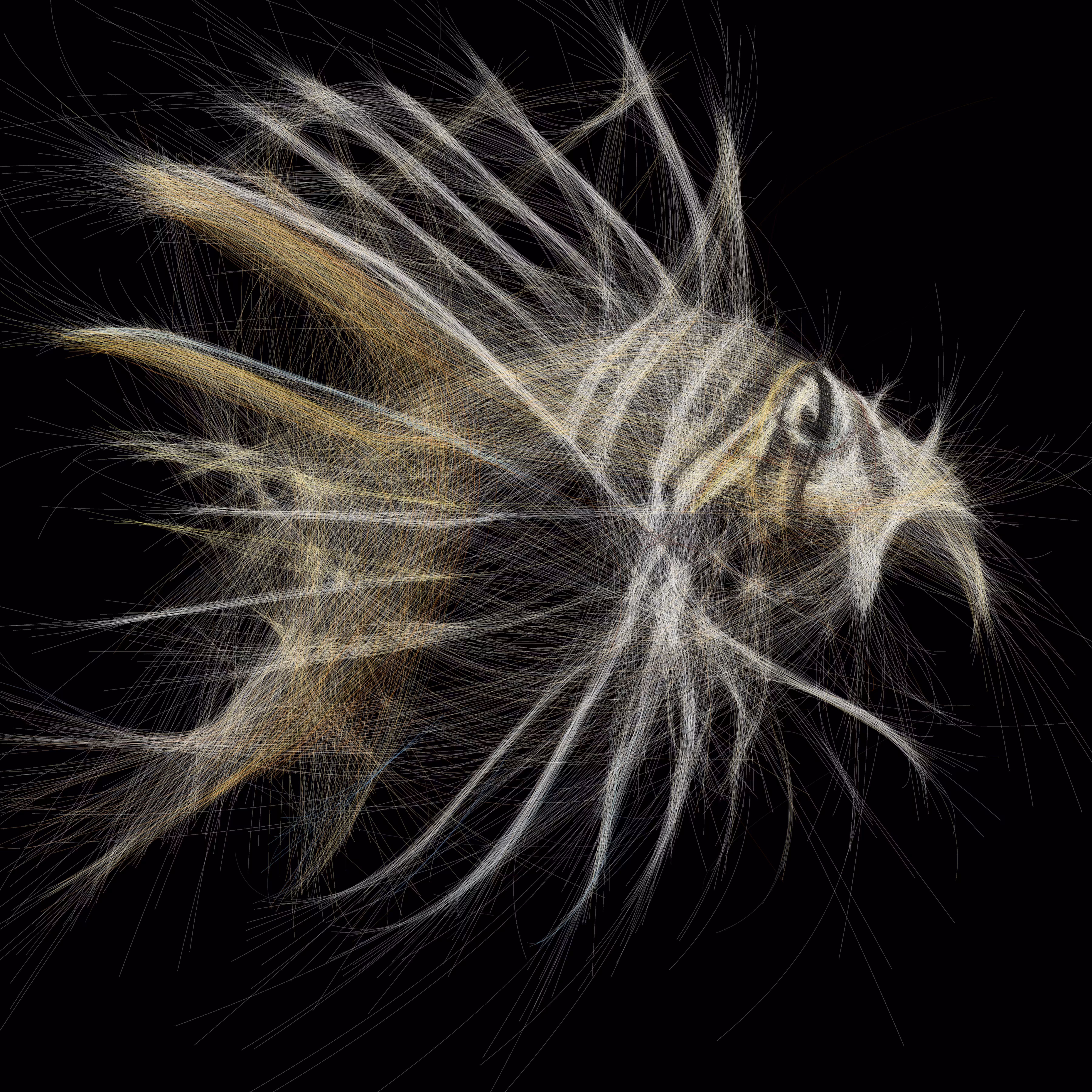 Underwater 147