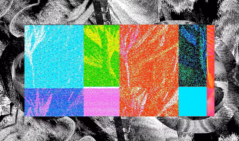Love, Computer 013