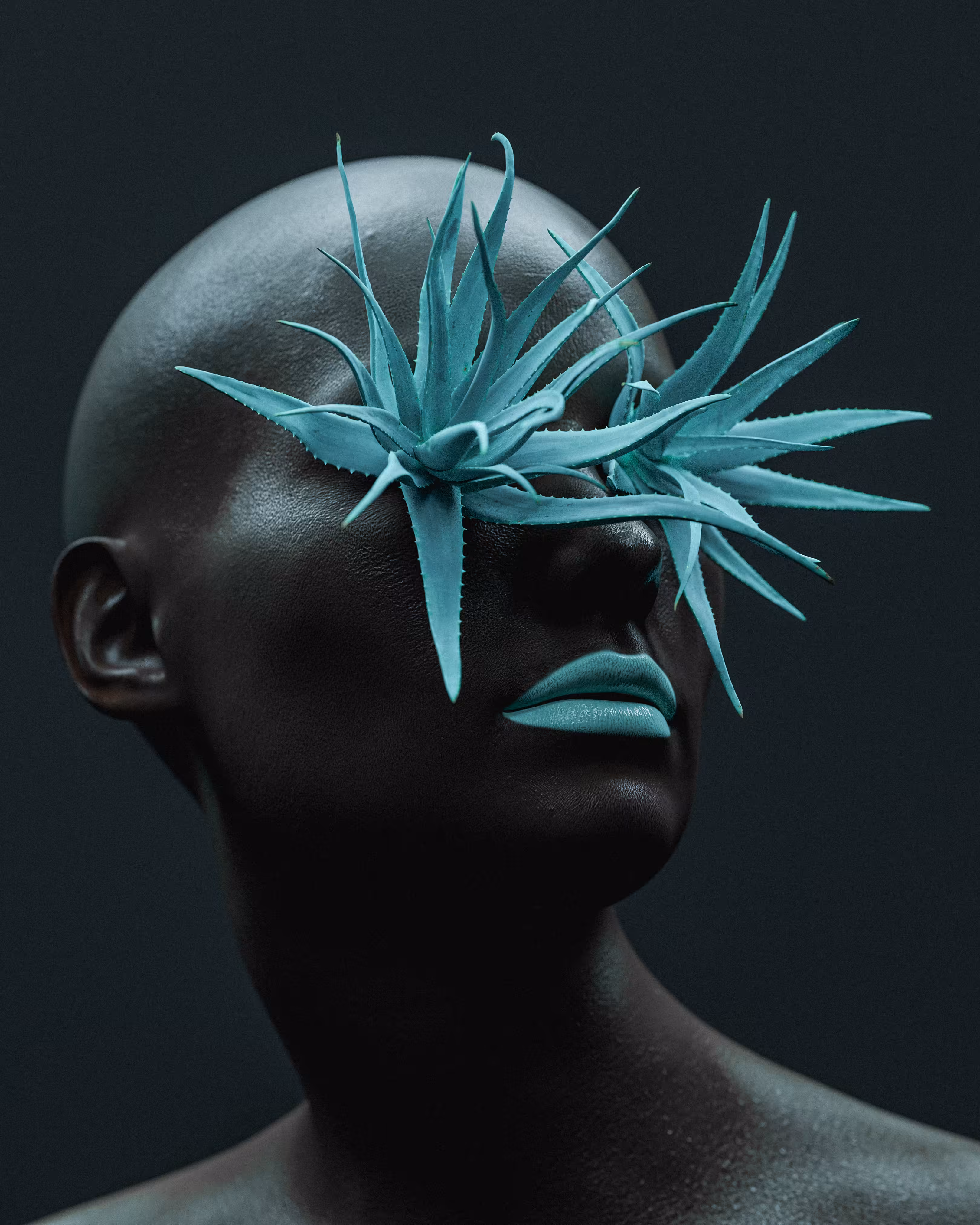 Aloe in Tiffany