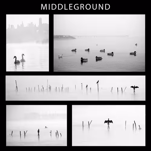 Lake Garda Middleground