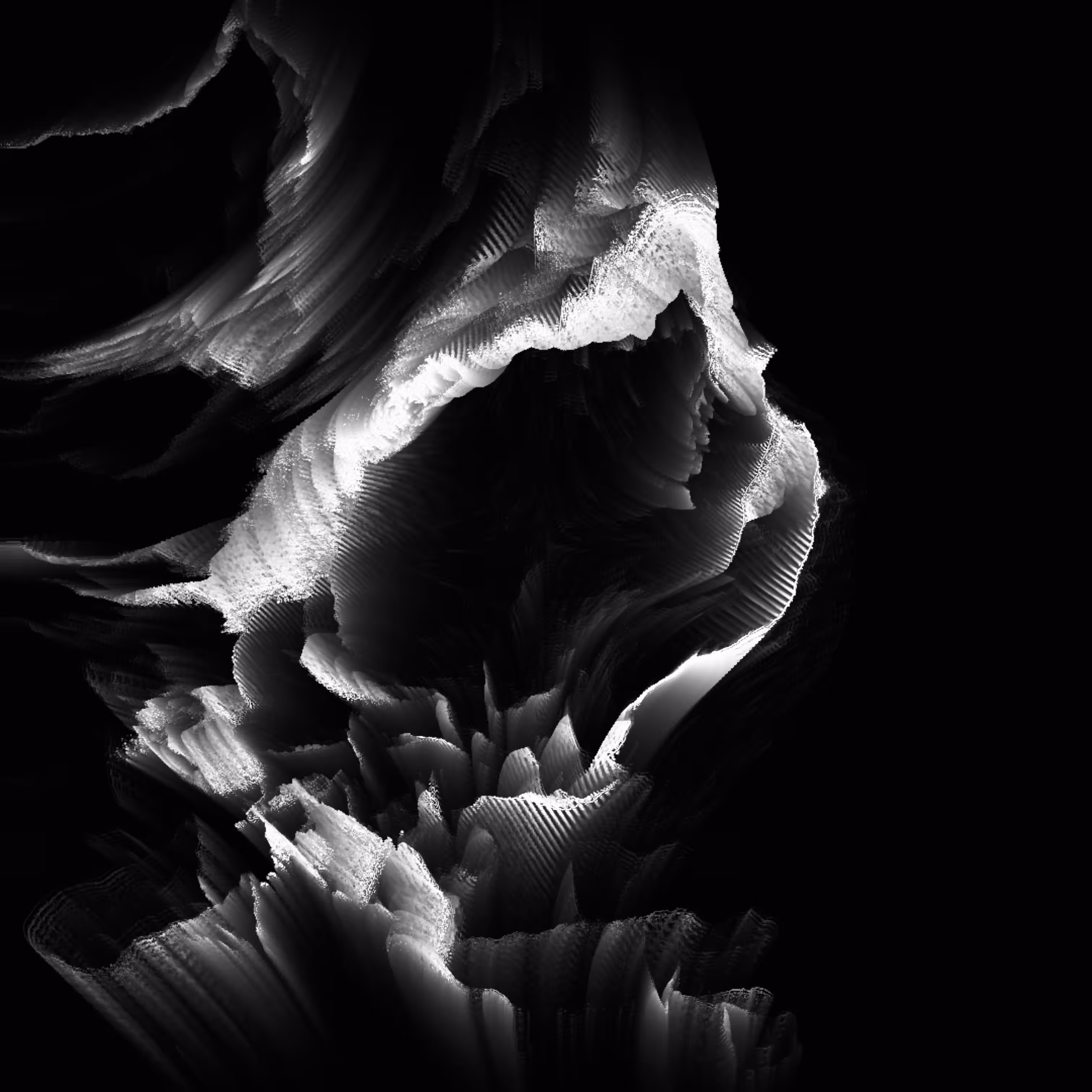 Biomineral I - Shell