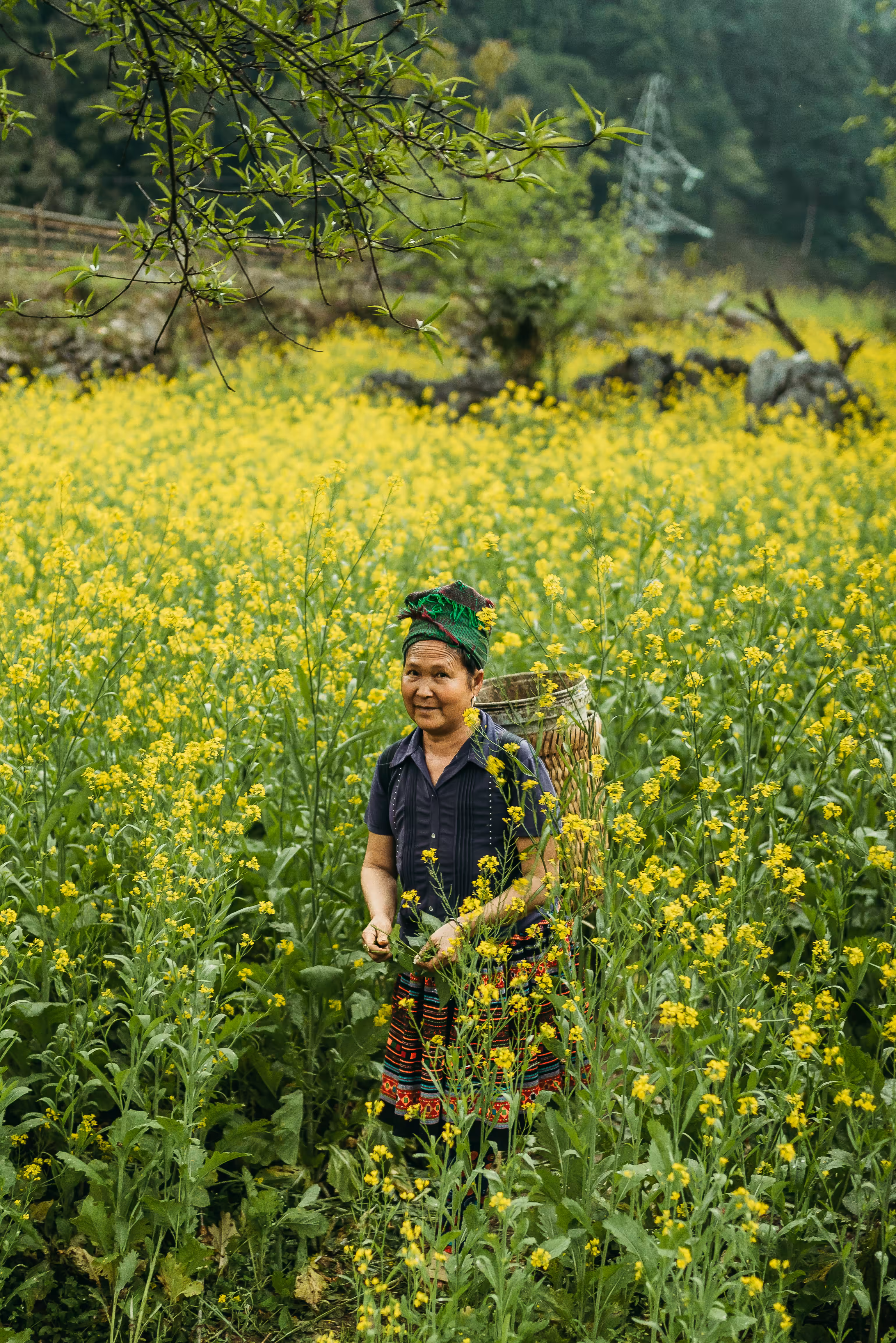 Rapeseed Woman