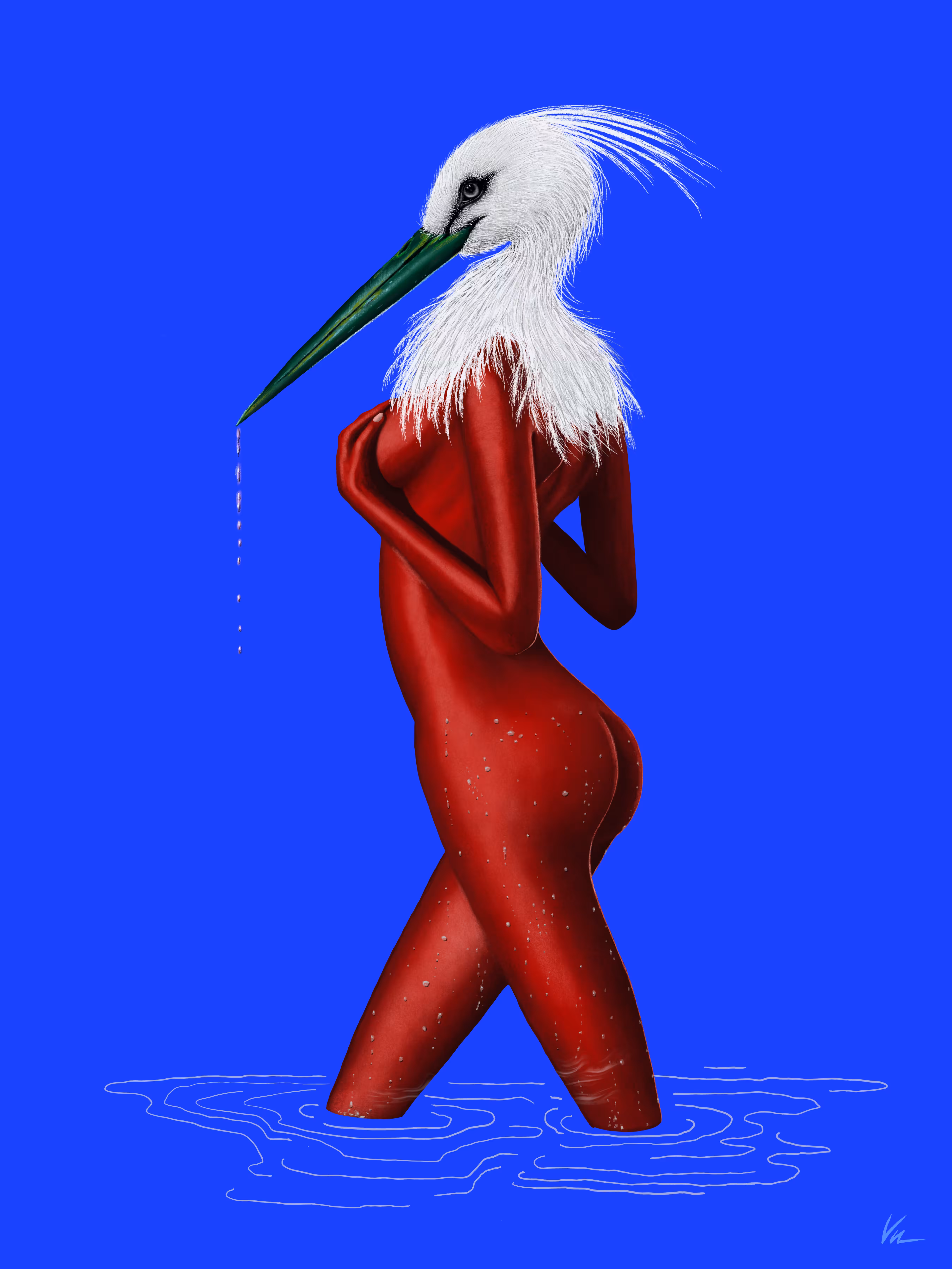 Ardeidae #17/20