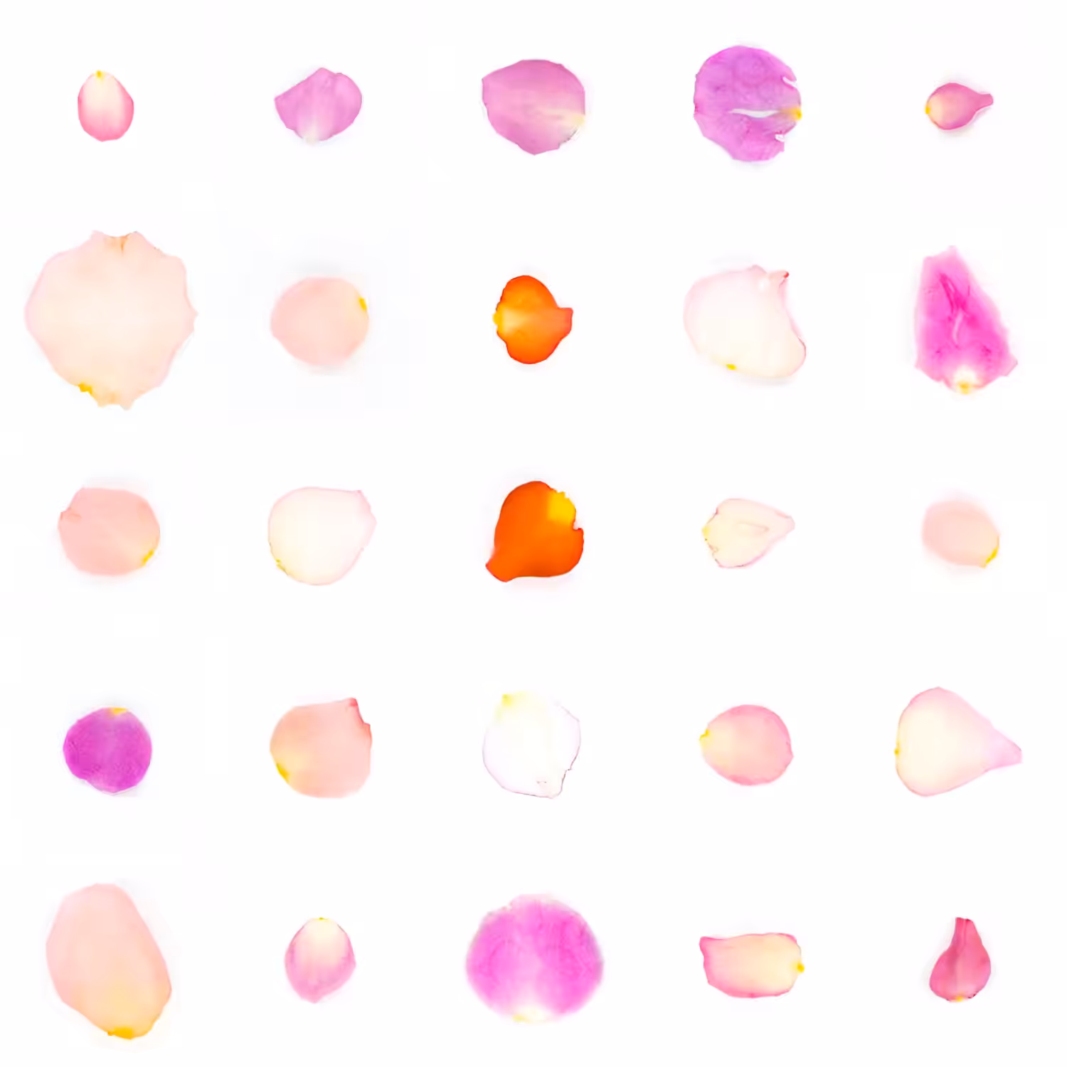 Infinite Petals 5x5#20823