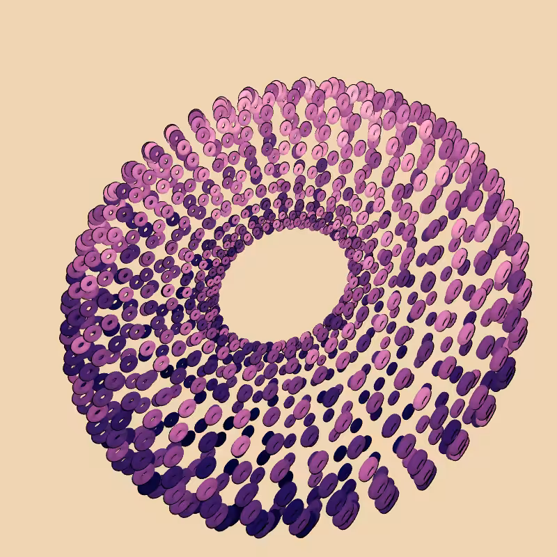 Donuts #16