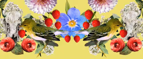 The Strawberry Thieves Banner 13