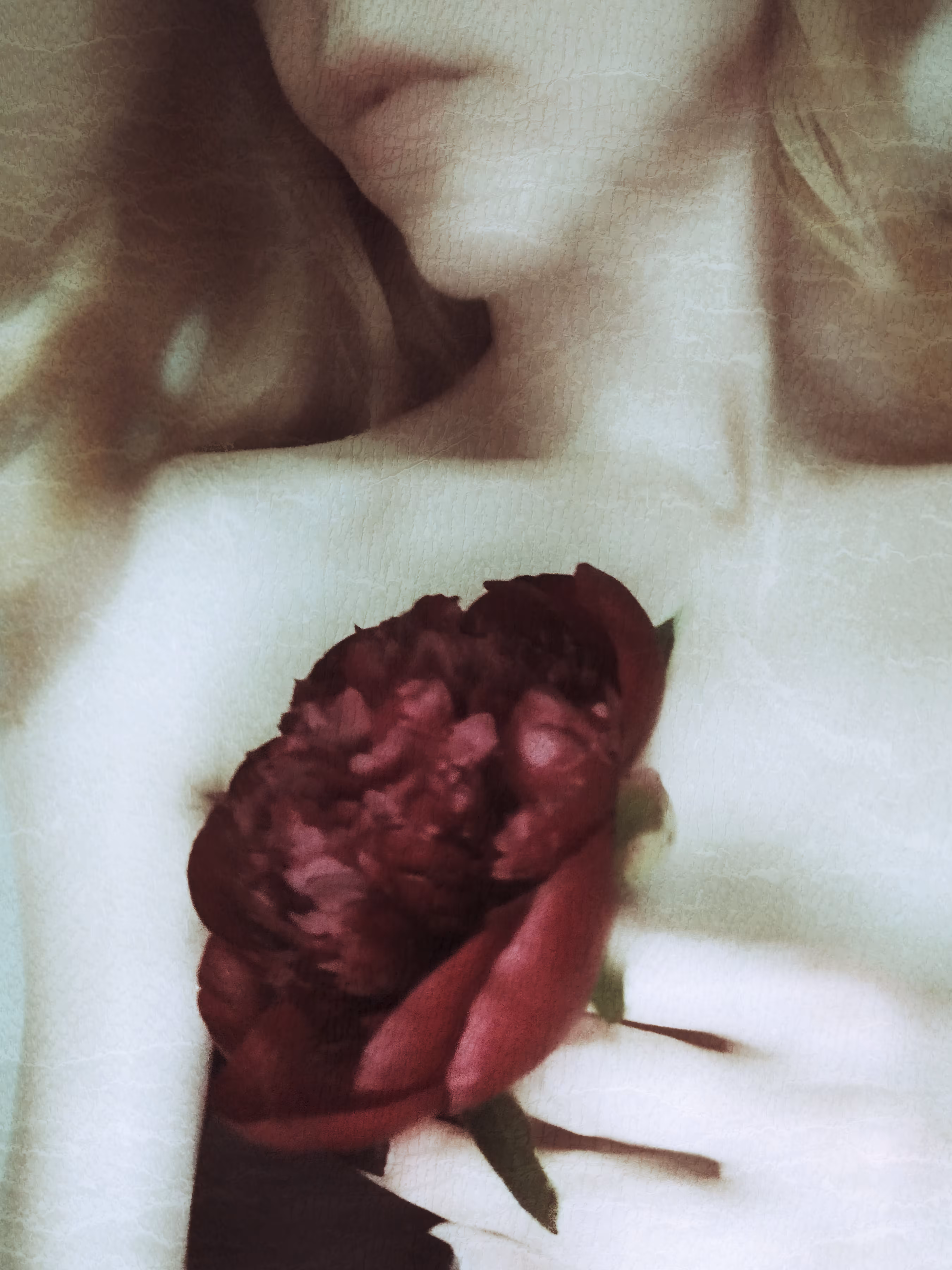 PhotoMania: Souls 
