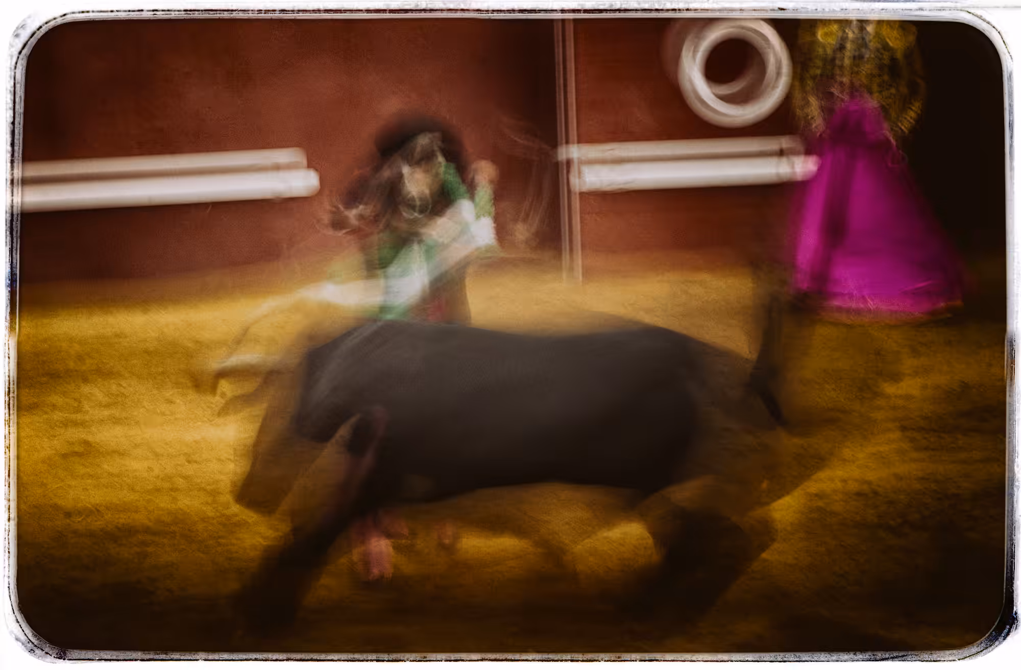 The Happy Valley: taurina_2
