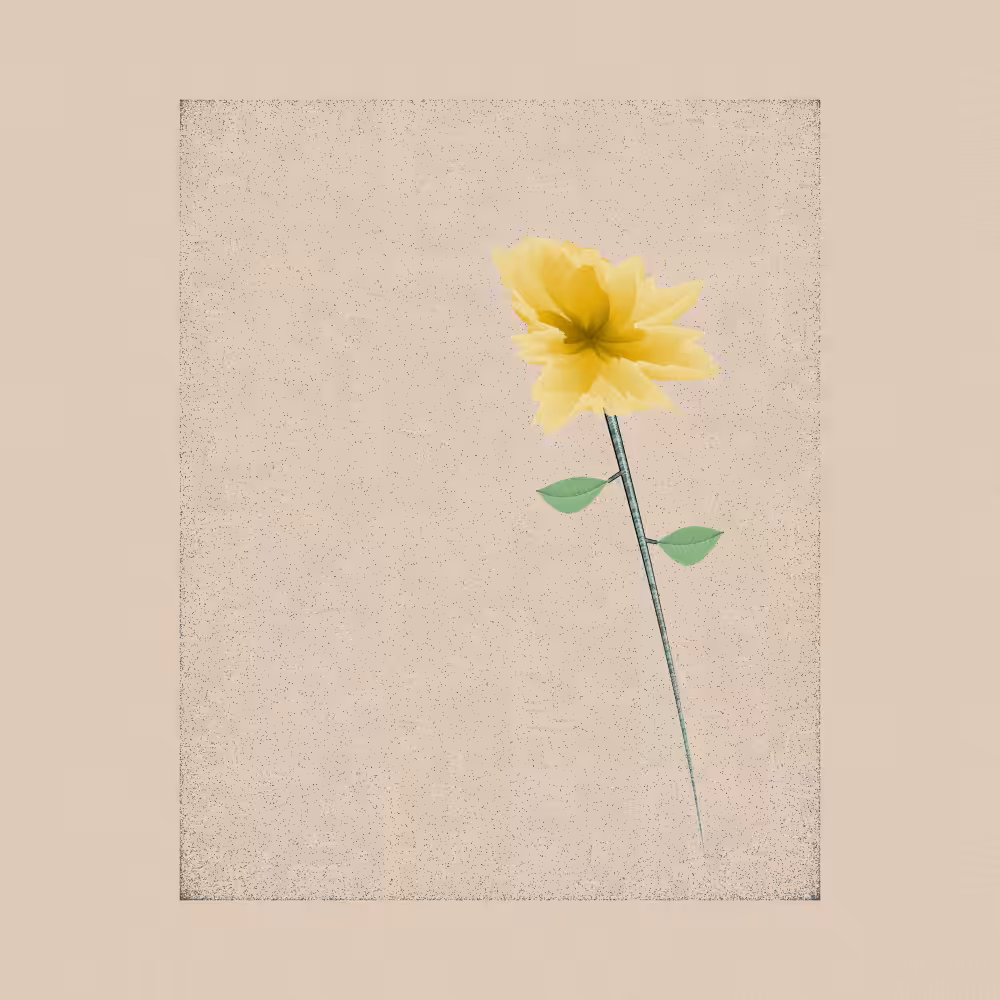 Magnolia #32