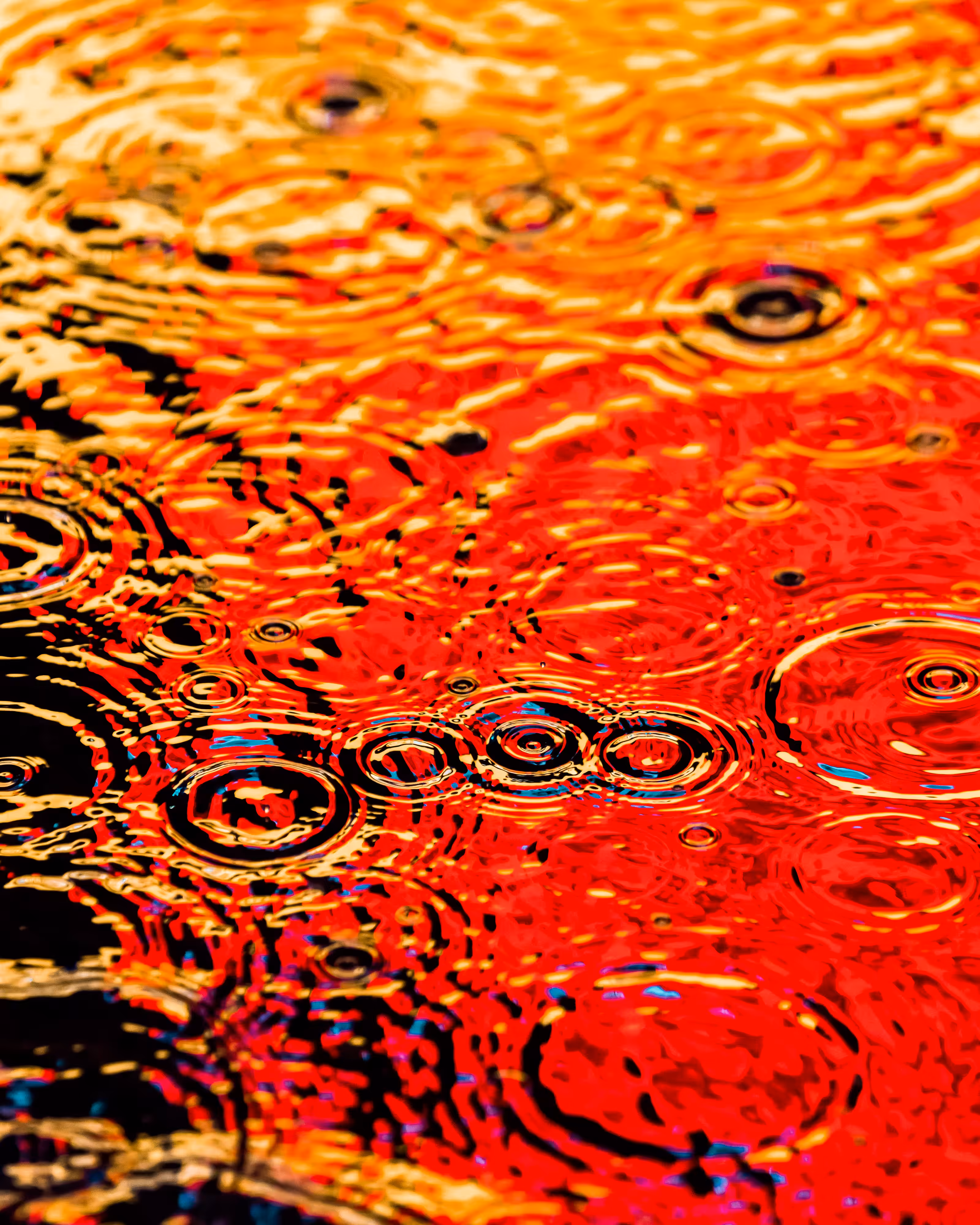 DRIP DROP: DRIP #678