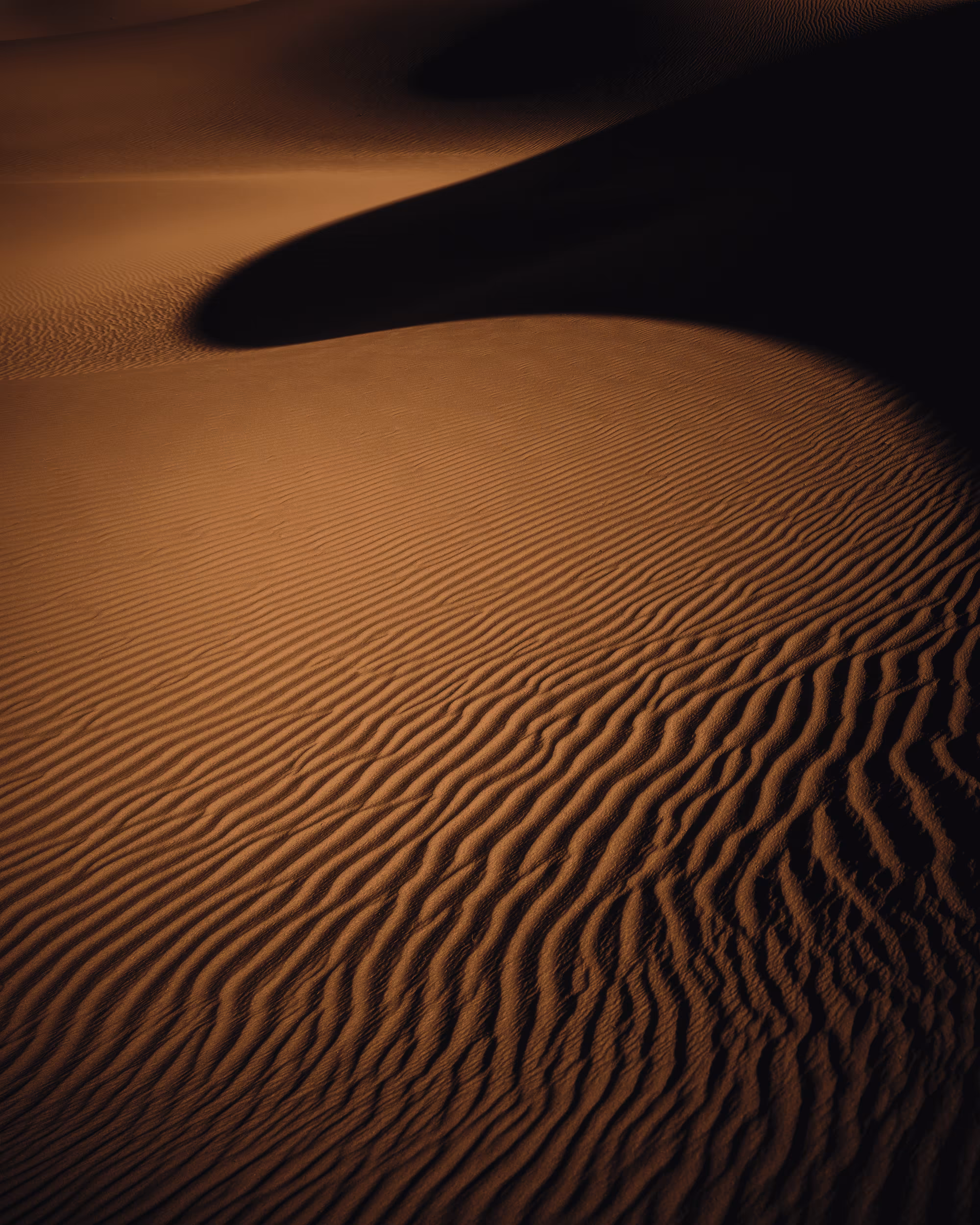 Dune: The Collection #12