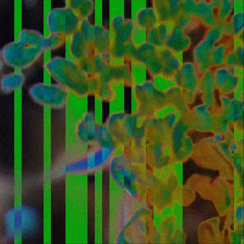 CLDCSMC #195