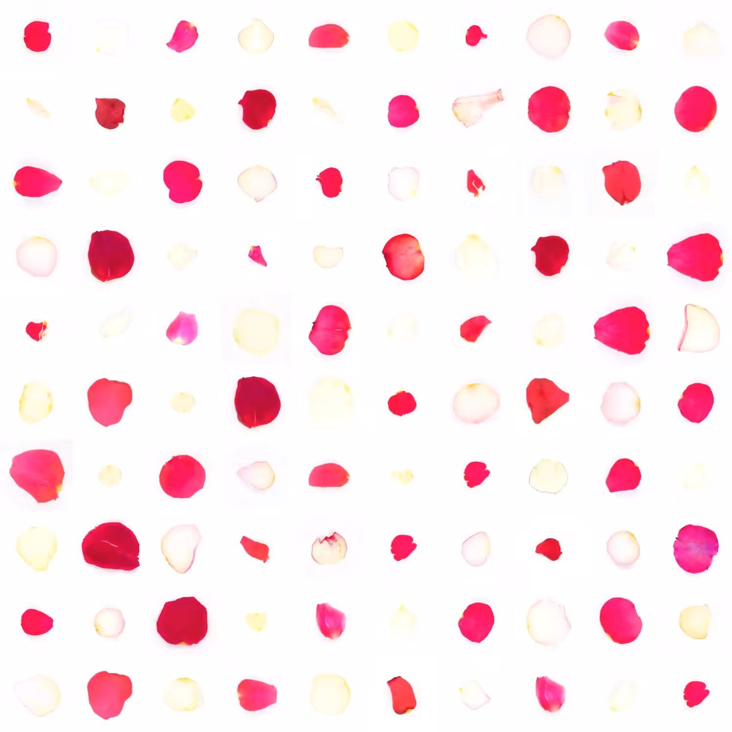 Infinite Petals 10x10#1698
