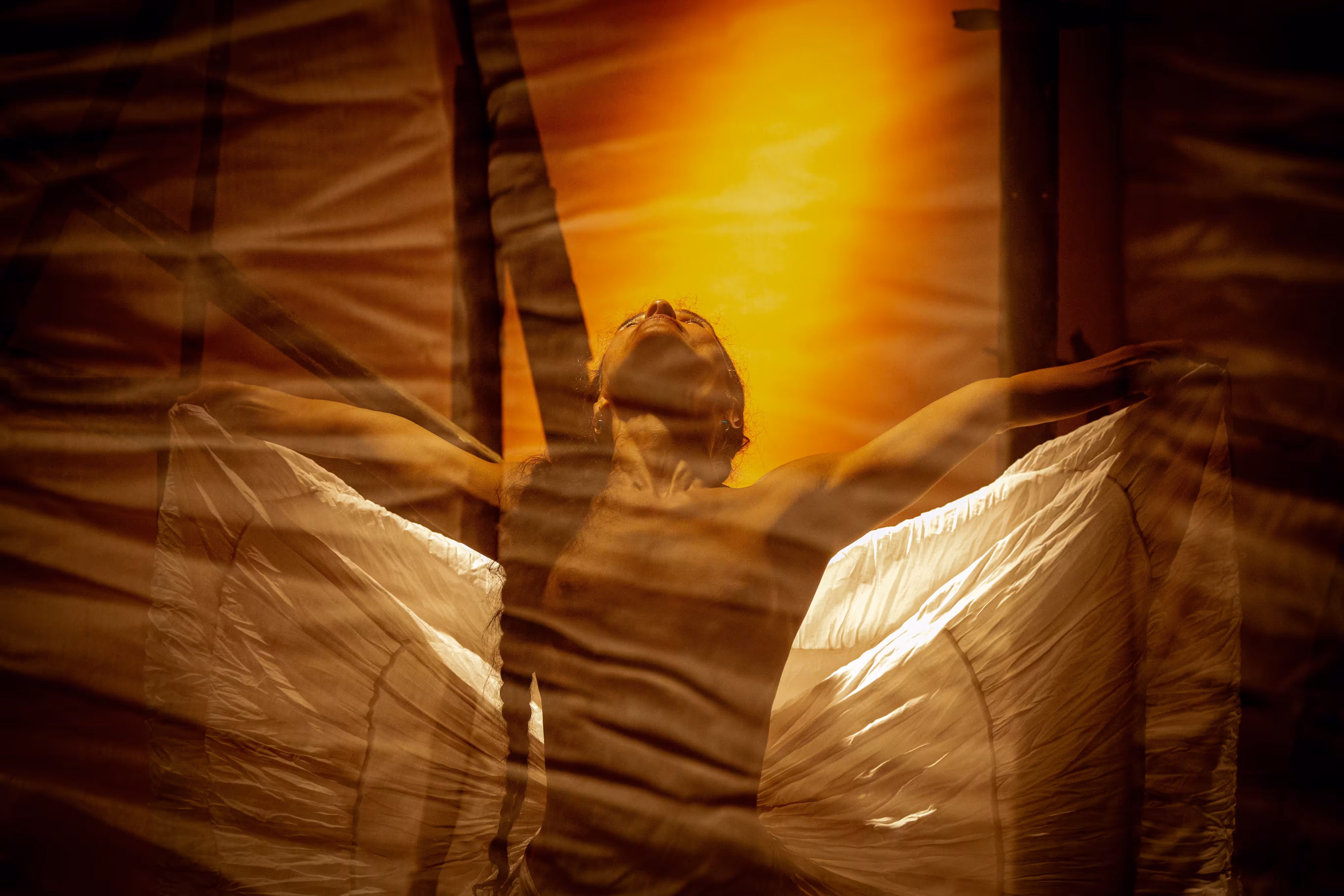 Through the Wings #2