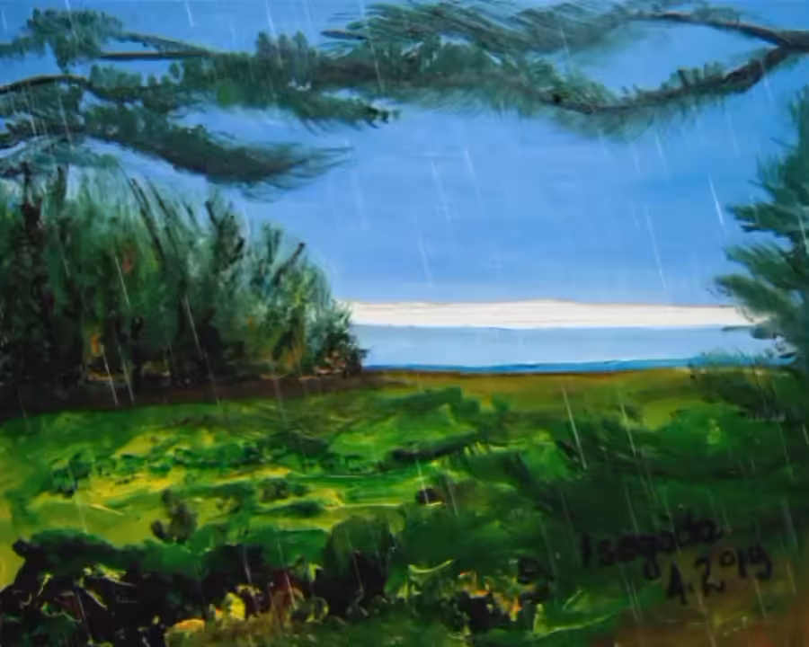 House landscape