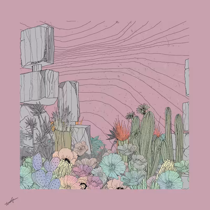 Garden of Lines #Rocks_Blooms #14