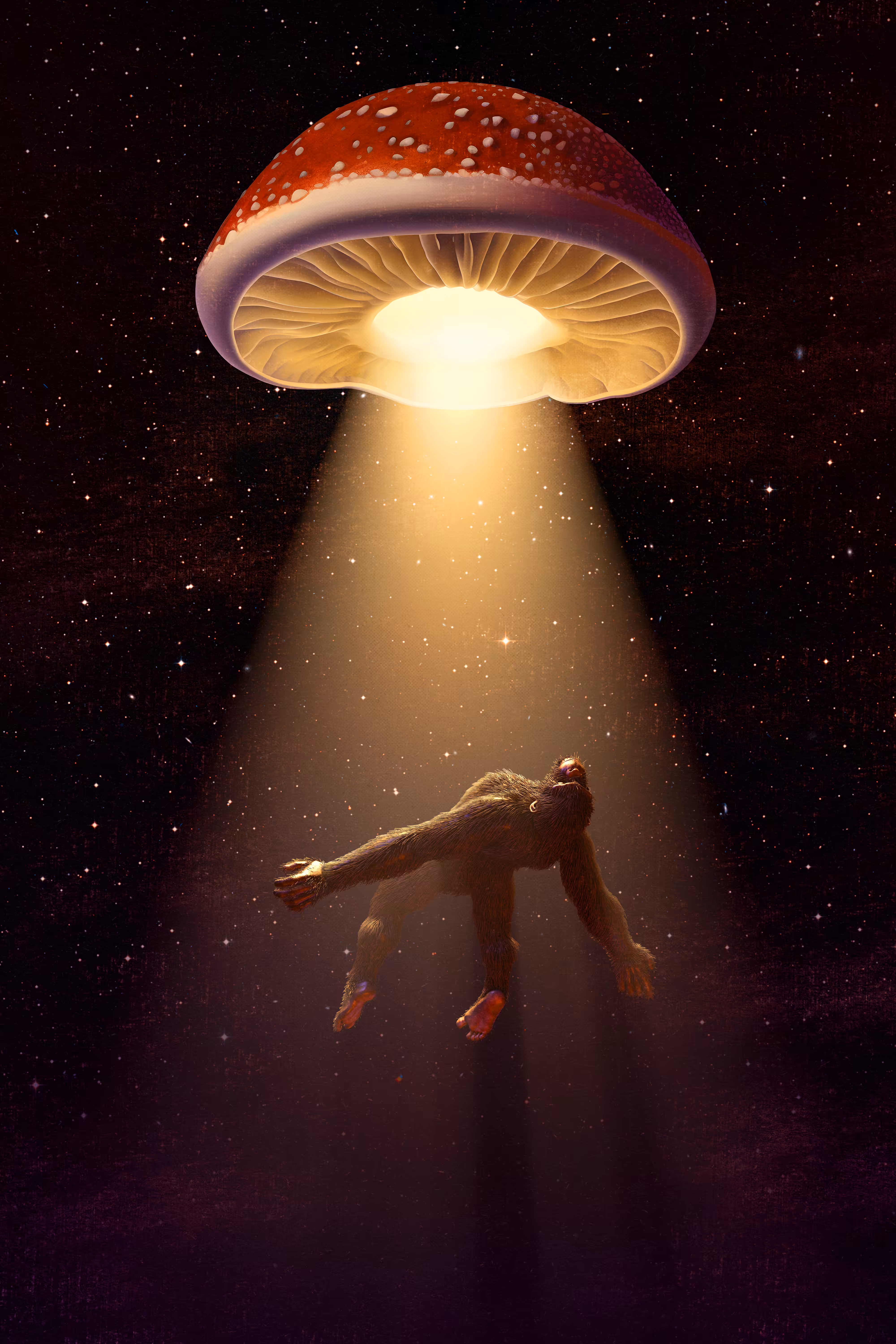 Transcendence