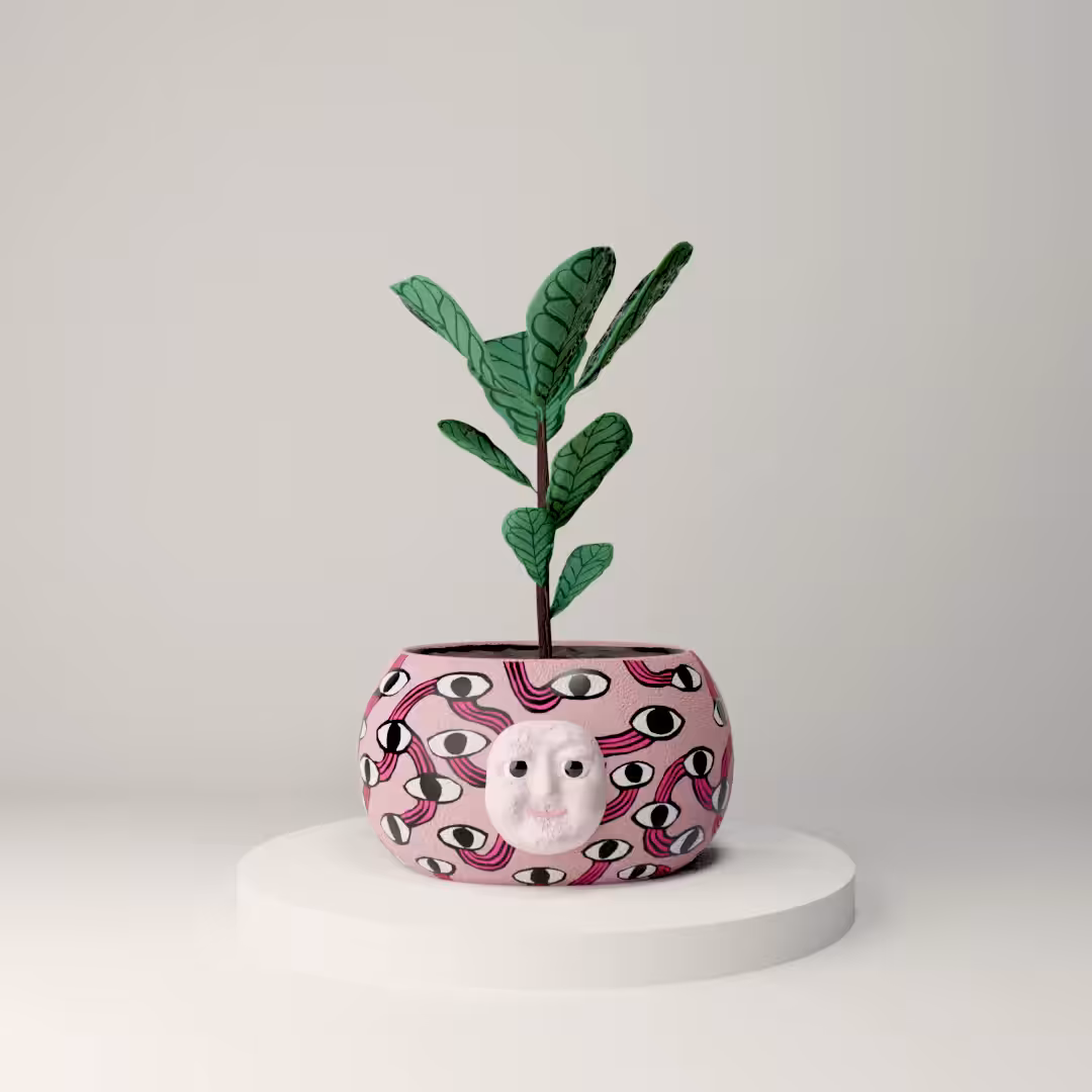 houseplant 005