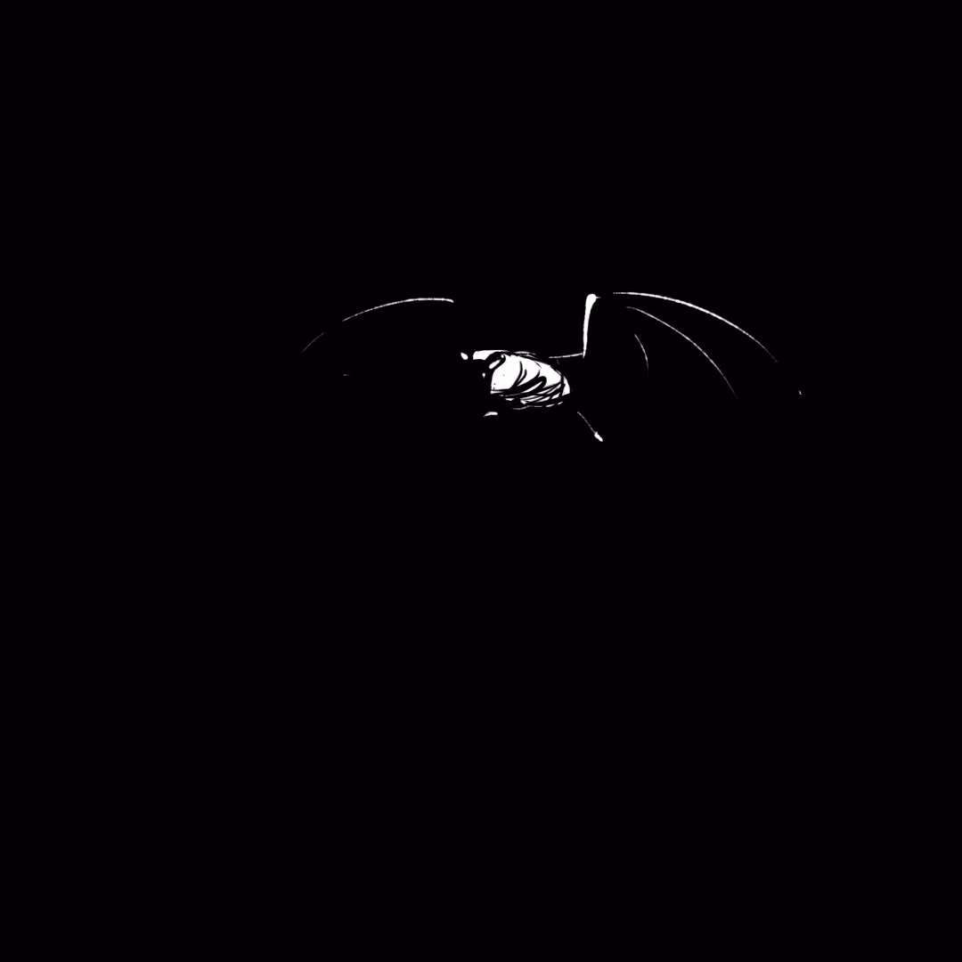 Gran pena: The bat