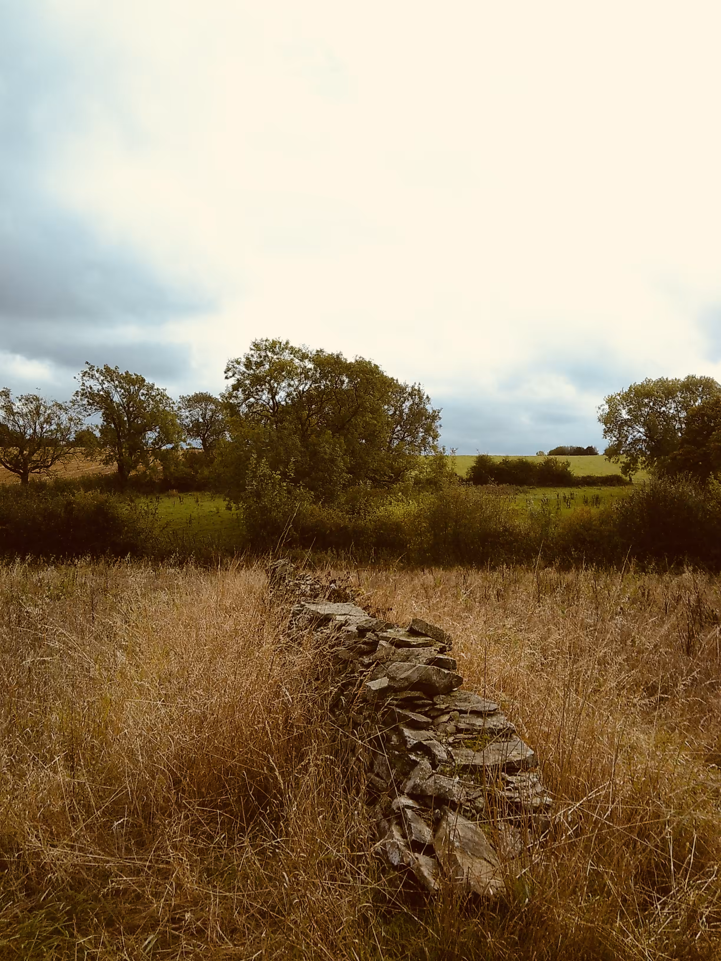 The Rambling Divide