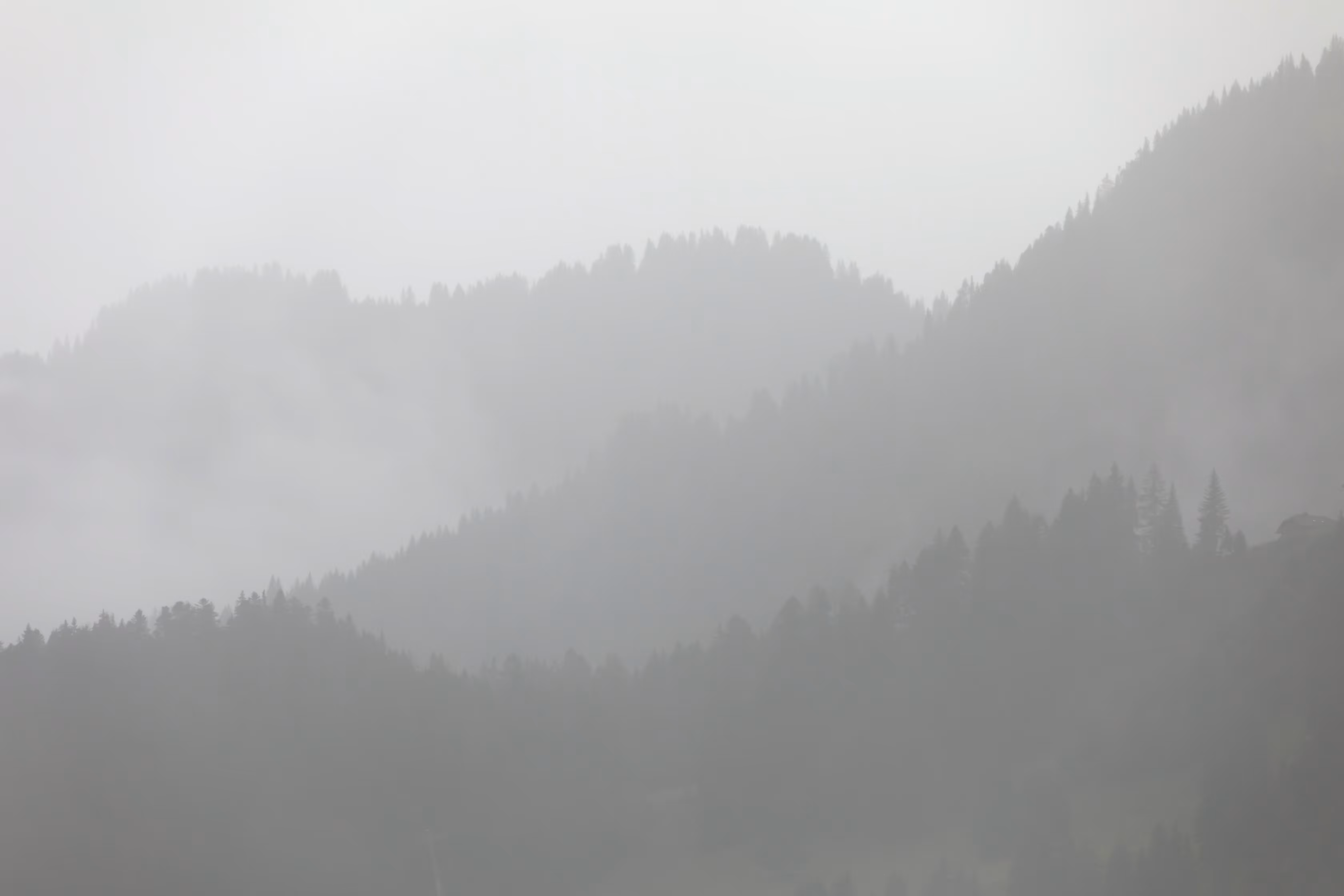 Under the fog #3