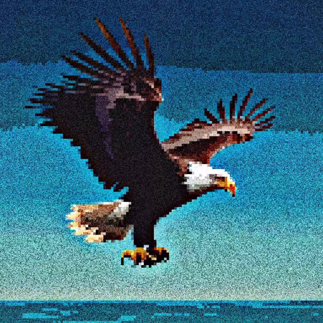 Pixel Eagle