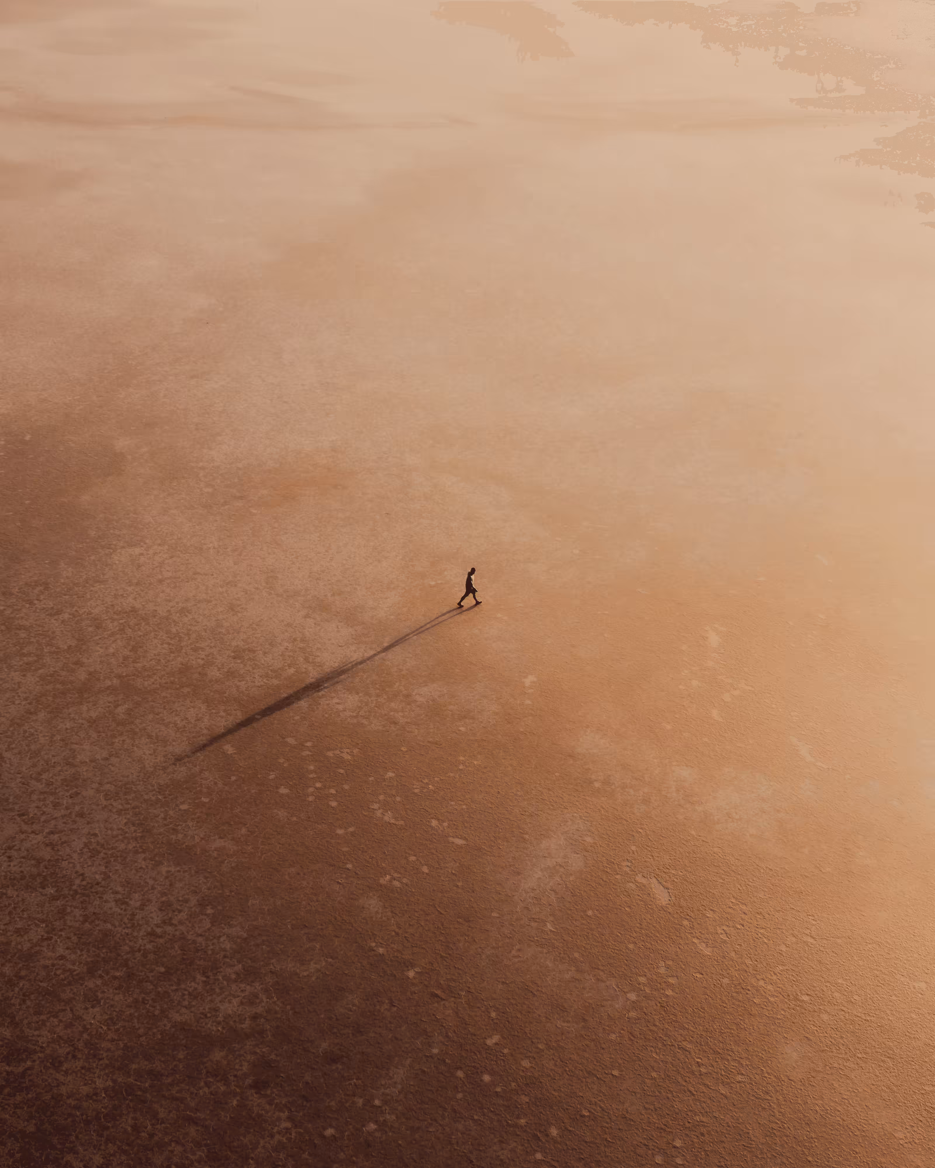 “Journey of Colour” #8