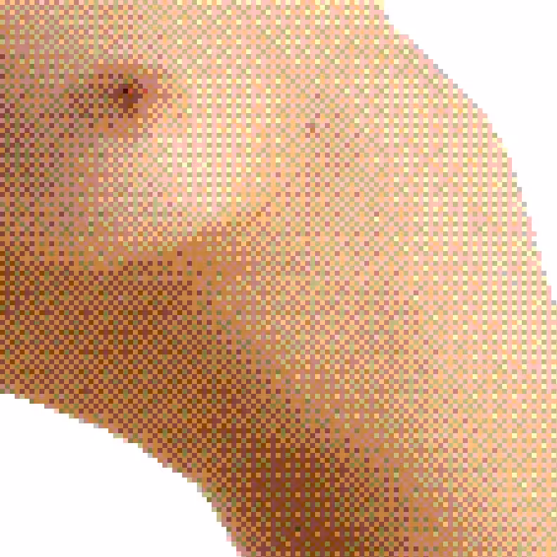 Censored Fragments 224