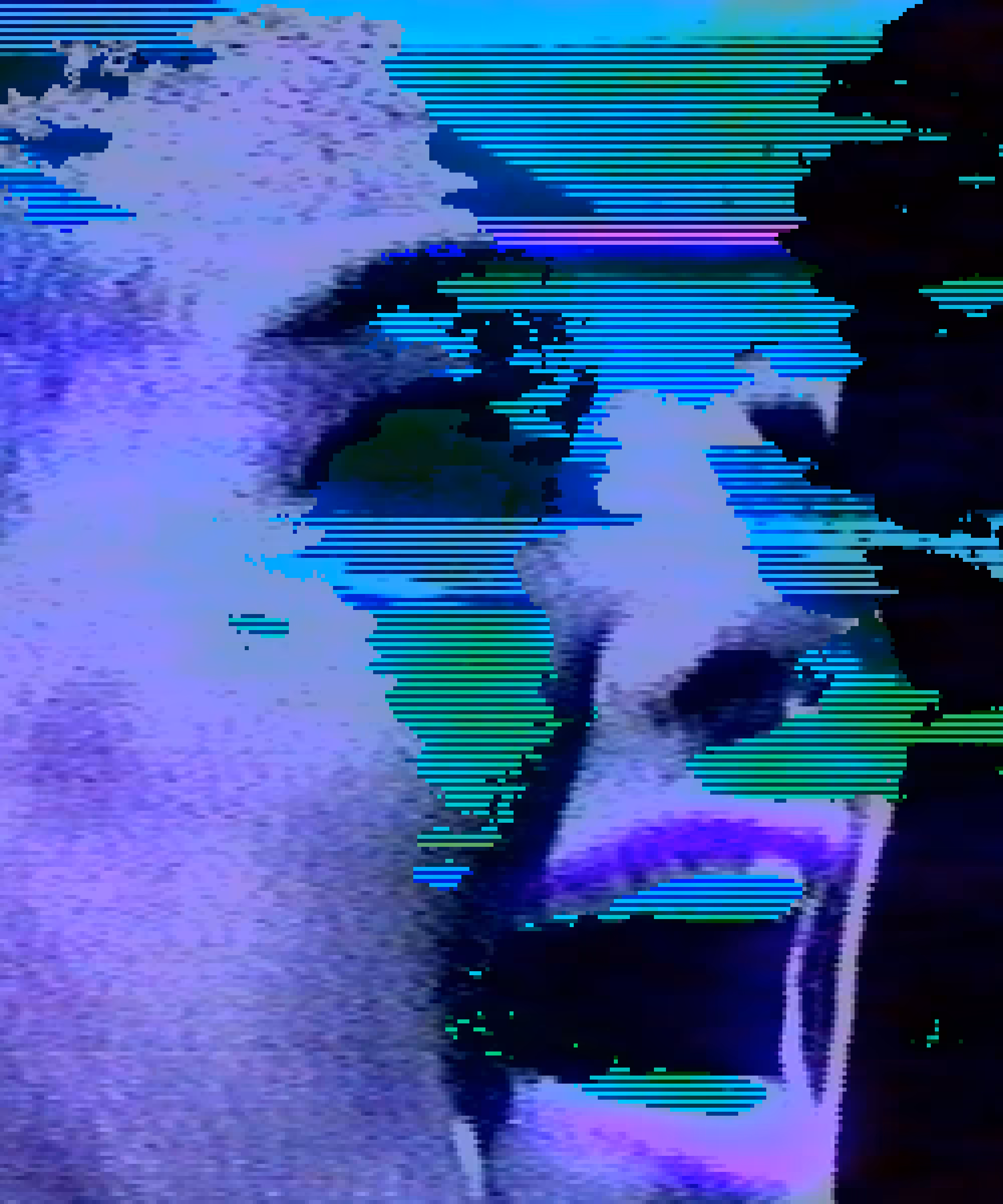 X1749-0013