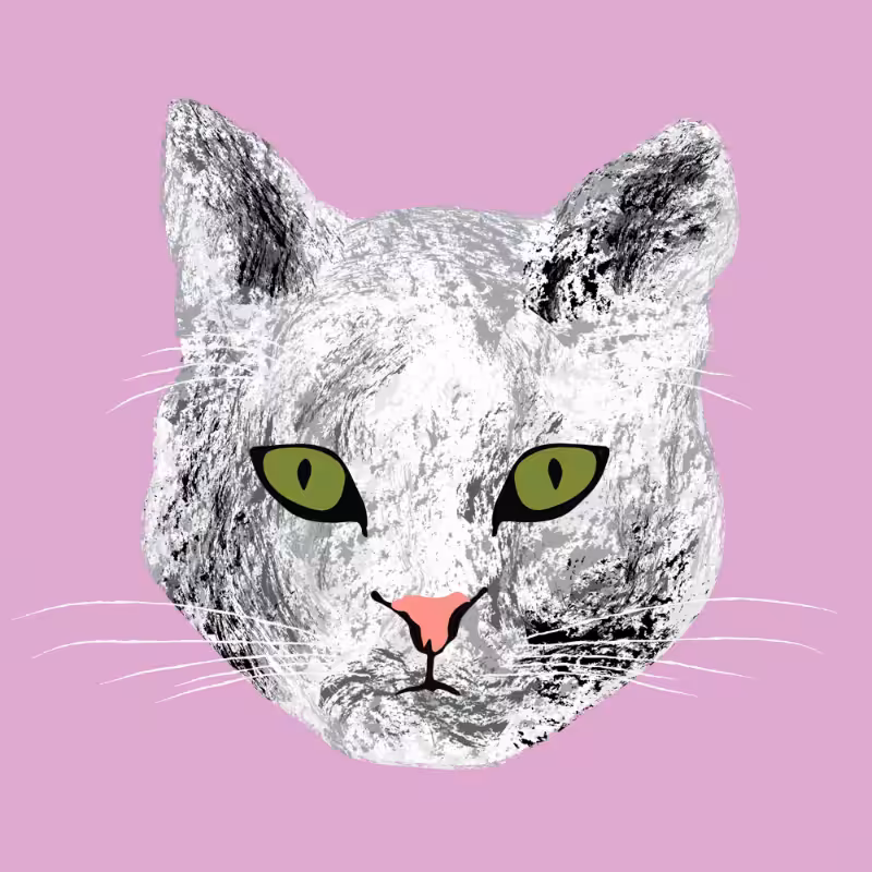 Kitten #8