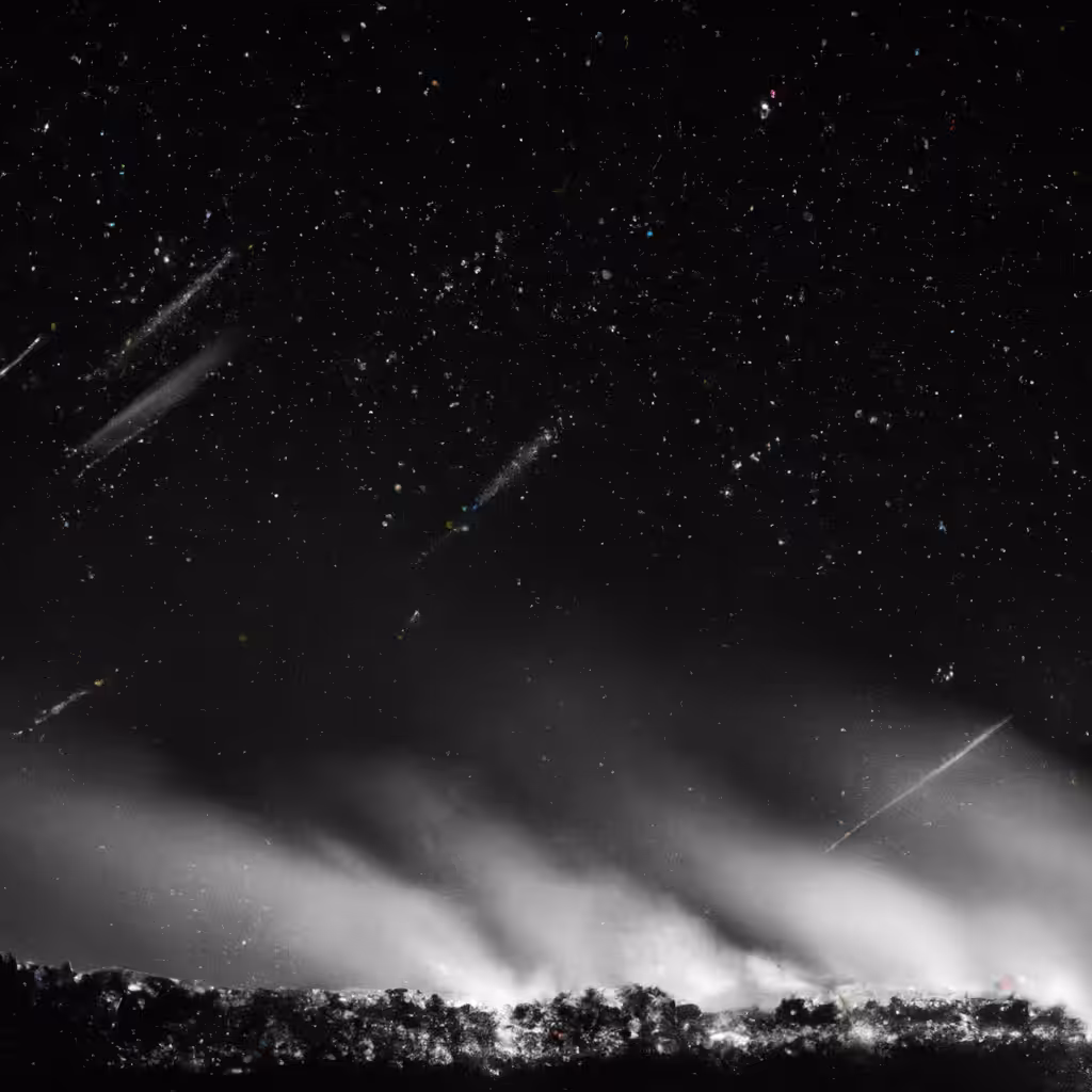 Perseids 2022 #1