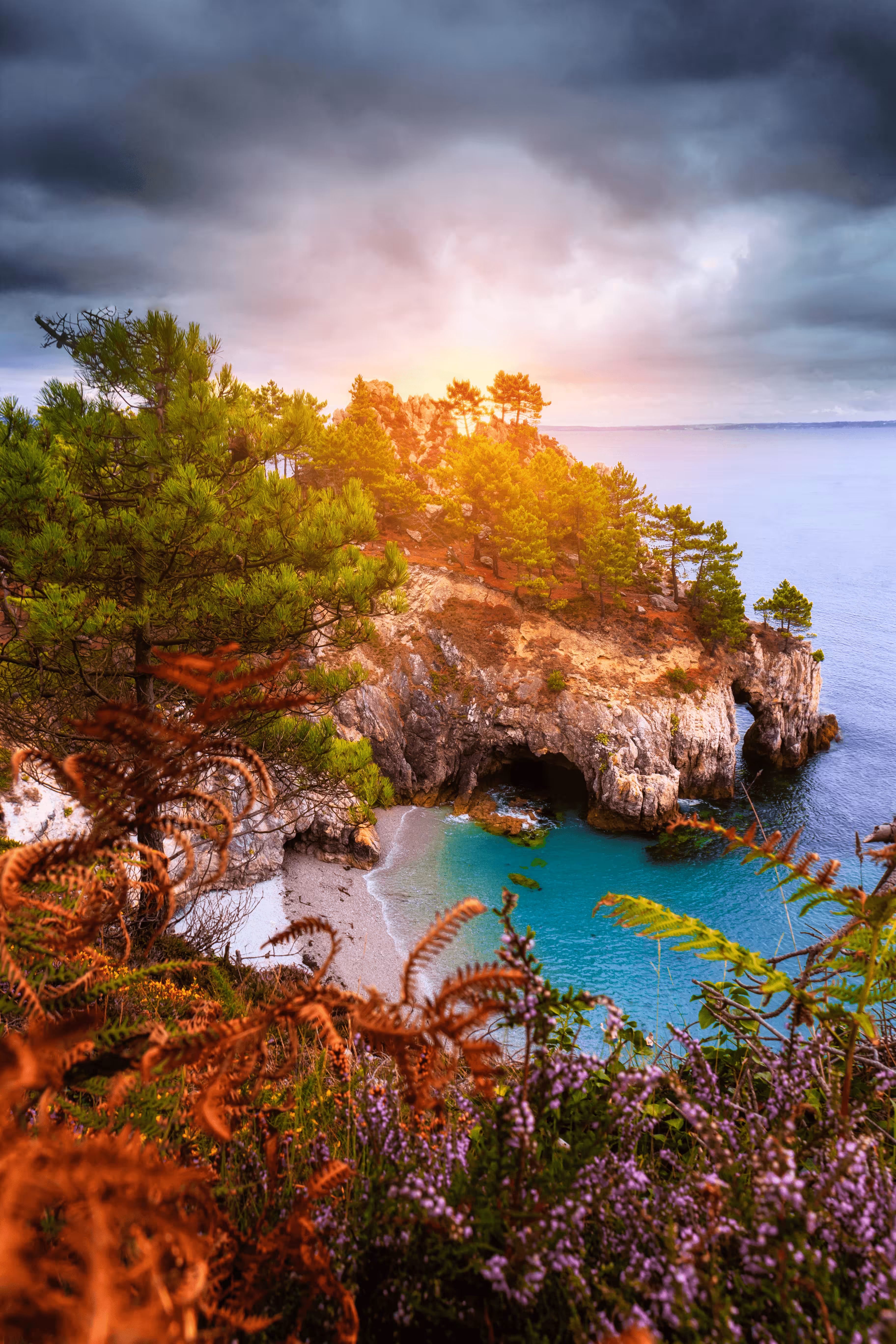 Breton hidden gems: Maritime jungle 