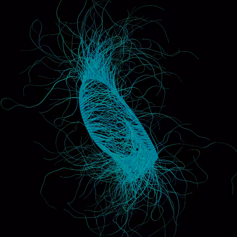 365 Tentacles #227