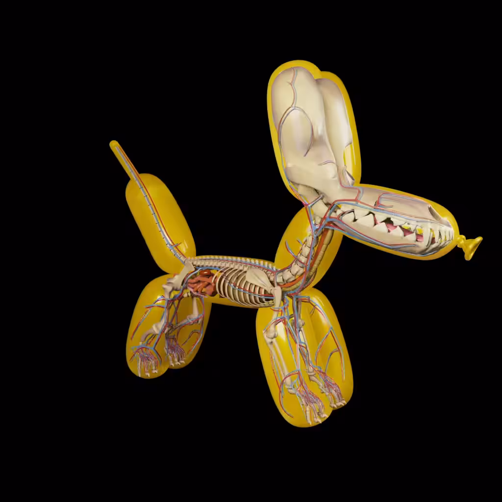 Balloon Dog Anatomy (Yellow)