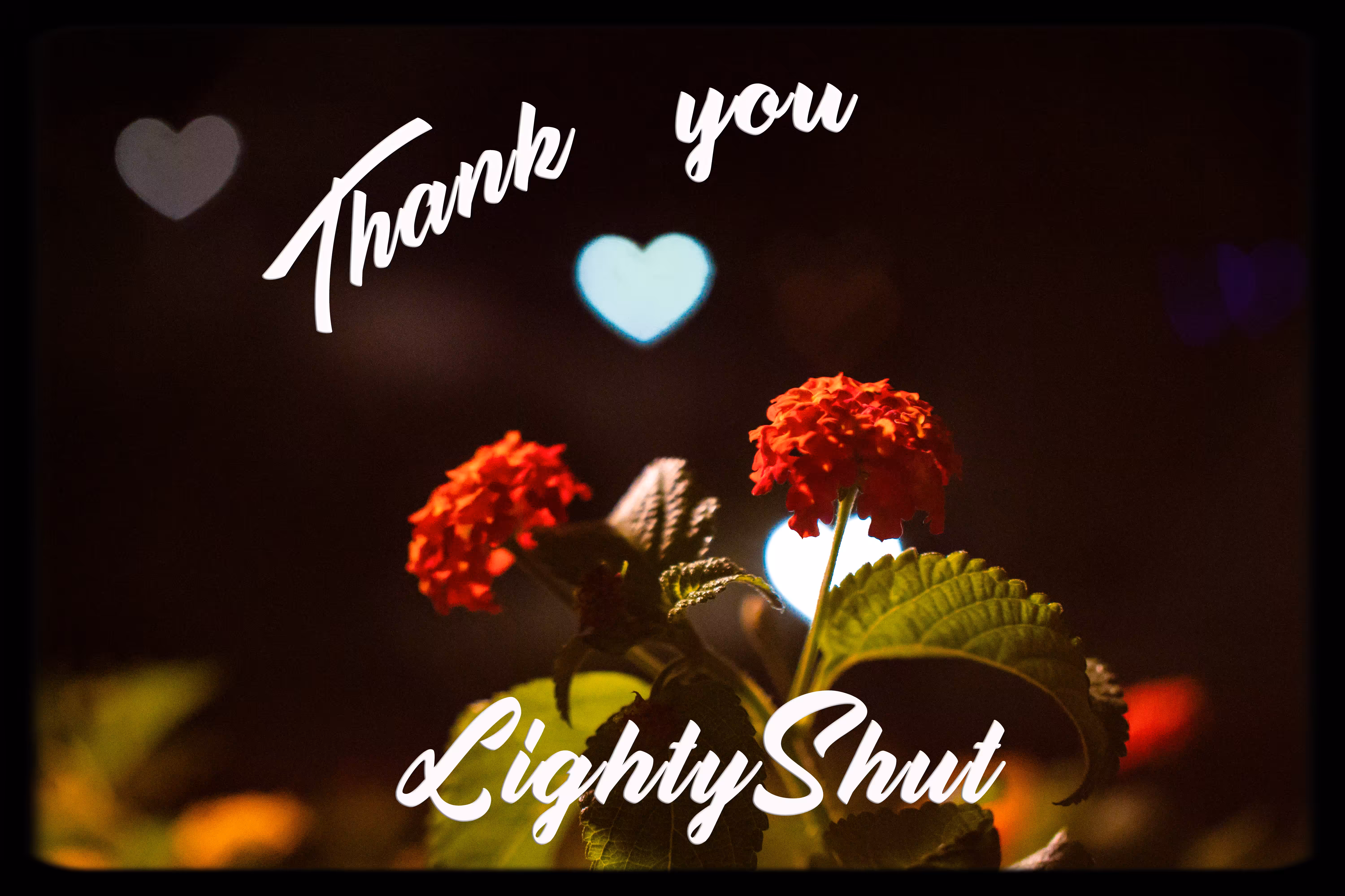 Thank You Lighyshut
