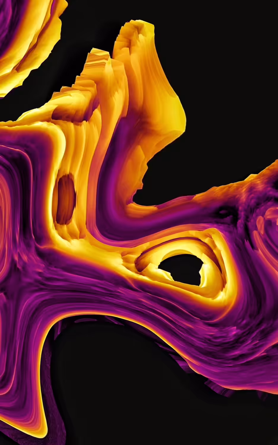 Symphony n. 2 for Yellow and Purple